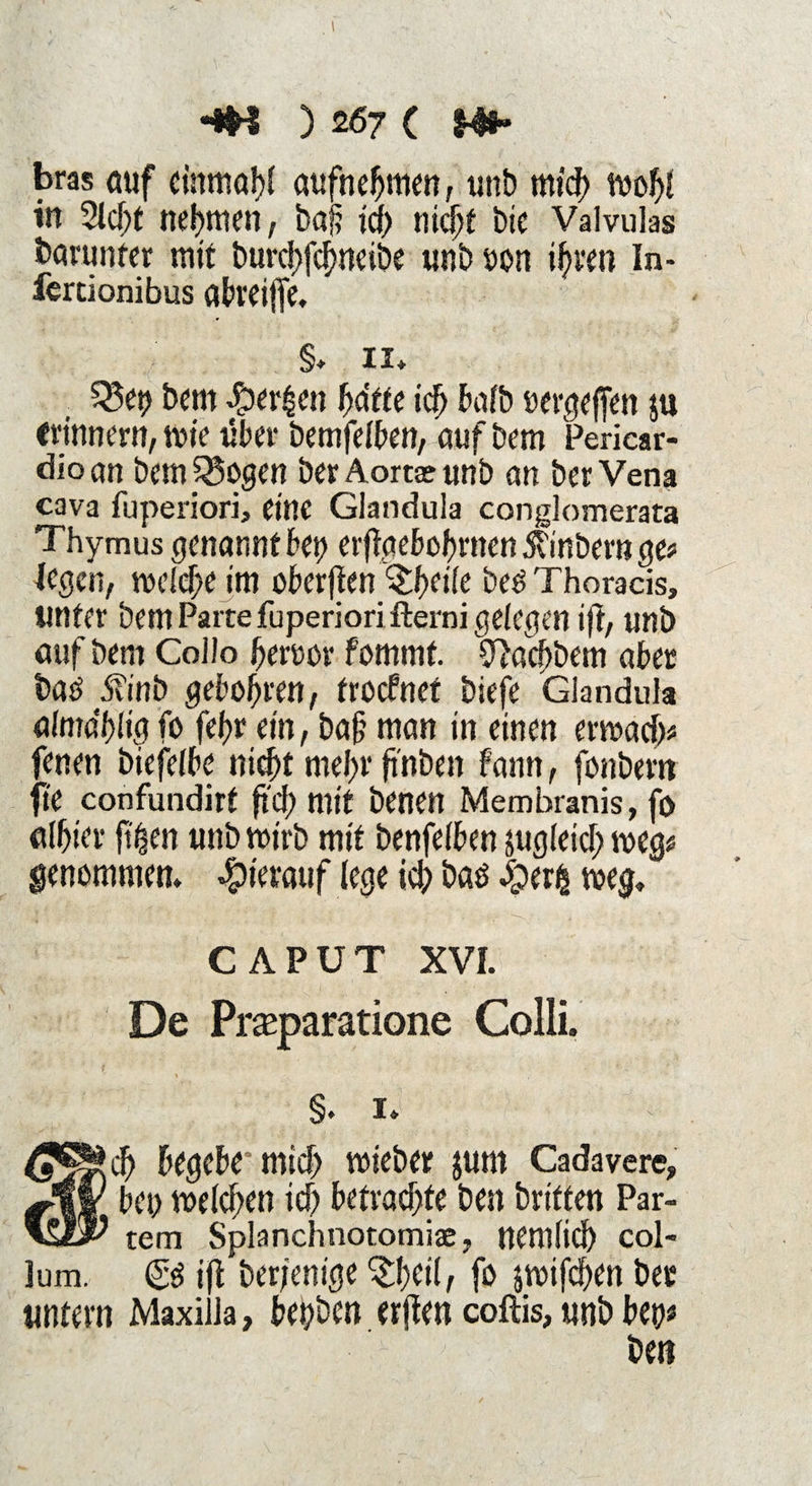 bras auf einmal)! aufnebmen, uni? mich wohl in 21d)t nehmen, baf? id) nidjt bie Valvulas barunter mit burcf>fcf>ncibe unb son ihren In- fertionibus abrei(fe* §* ii* Q5ep bem $er£en hotte ich bafb »ergeben $u erinnern, wie über bemfelben, auf Dem Pericar- dioan bem SSogen ber Aorta? unb an ber Vena cava fuperiori, eine Glandula conglomerata Thymus genannt bei) erftgebobrnett ßi'nbern ge* legen, welche <m oberen $hri(e be6 Thoracis, unter bern Parte fuperiori fterni gelegen ifb, unb auf bem Coilo ferner fommf. yfari)bem aber baö jvinb geboten, troefnet biefe Glandula almabltg fo fefjr ein, ba§ man in einen erwach* fetten biefelbe nicht mel>r jtnben bann, fonbem fite confundirt fid) mit benen Membranis, fo alljier ft'hen unbmirb mit benfelben jugletd; weg* genommen* hierauf lege ich baö $er& weg. CAPUT XVI. De Prasparatione Colli. §. 1* begebe mid> wieber jum Cadavere, Vfjr bei; welchen id) betrachte ben britten Par- tem Splanchnotomiae, nemlich col- lum. <£g ijb berjenige ^l)cil, fo jwifchen ber untern Maxilla, be^ben erften coftis, unb ben# ’>■ ben