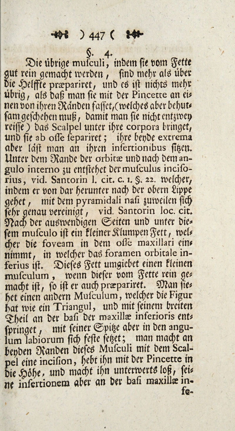 4- Söie übrige mufculi, t'nbem fte pow $effe gut rein gemacht »erben, ftnb mehr alt über bie *£elffte praepariret, unb et ift nidjtt mei» übrig, alt bafi man fte mit ber Pincetce an ei# nen Pon tbren Duinben faffef,( weichet aber behüt# fam gefchehen rnufi, bamit man fte nid)t cntjwep reifte) bat Scalpel unter ihre corp.ora bringet, unb fte ab ofle fepariret; ihre bepbe extrema ober (dft man an ihren infertionibus ftijeu. Unter bem 9eanbe ber orbitse unb nach bernan- gulo interno jtt enfftehct ber mufculus incifo- rius, vid. Santorin 1. cit. c. i. §. 22. Weid)er, inbent er pcn bar herunter nach ber übern Sippe gehet, mit bem pyramidali nafi juweilen fleh fehr genau Pereinigt, vid. Santorin loc. cit. 9}acf> ber autwenbigen ©eiten unb unter bte* fern mufeulo ift ein Heiner Äiumpen $ett, wei# djer bie foveam in bem ofie maxillari ein# nimmt, in weicher bat foramen orbitale in- ferius ift. liefet §ett umgiebef einen Heinen mufculum , wenn biefer Pom gefte rein ge# macht ift, fo ift er auch praepariref. SDian fte# bet einen anbern Mufculum, weicher bie Figur bat wie ein Triangul, unb mit feinem breiten ^heii an ber bafi ber maxillae infetioris ent# fpringet, mit feiner ©pii^e aber in ben angu- lum labiorum fich fefte fe^et; man macht an benben Ovanben biefet Mufcuh mit bem Scal¬ pel eine incifion, hebt ihn mit her Pmcettc in bie Jööhe, «nb macht ih« unterwerft lo§, fet# ne infertionera aber an ber bafi maxilist in-
