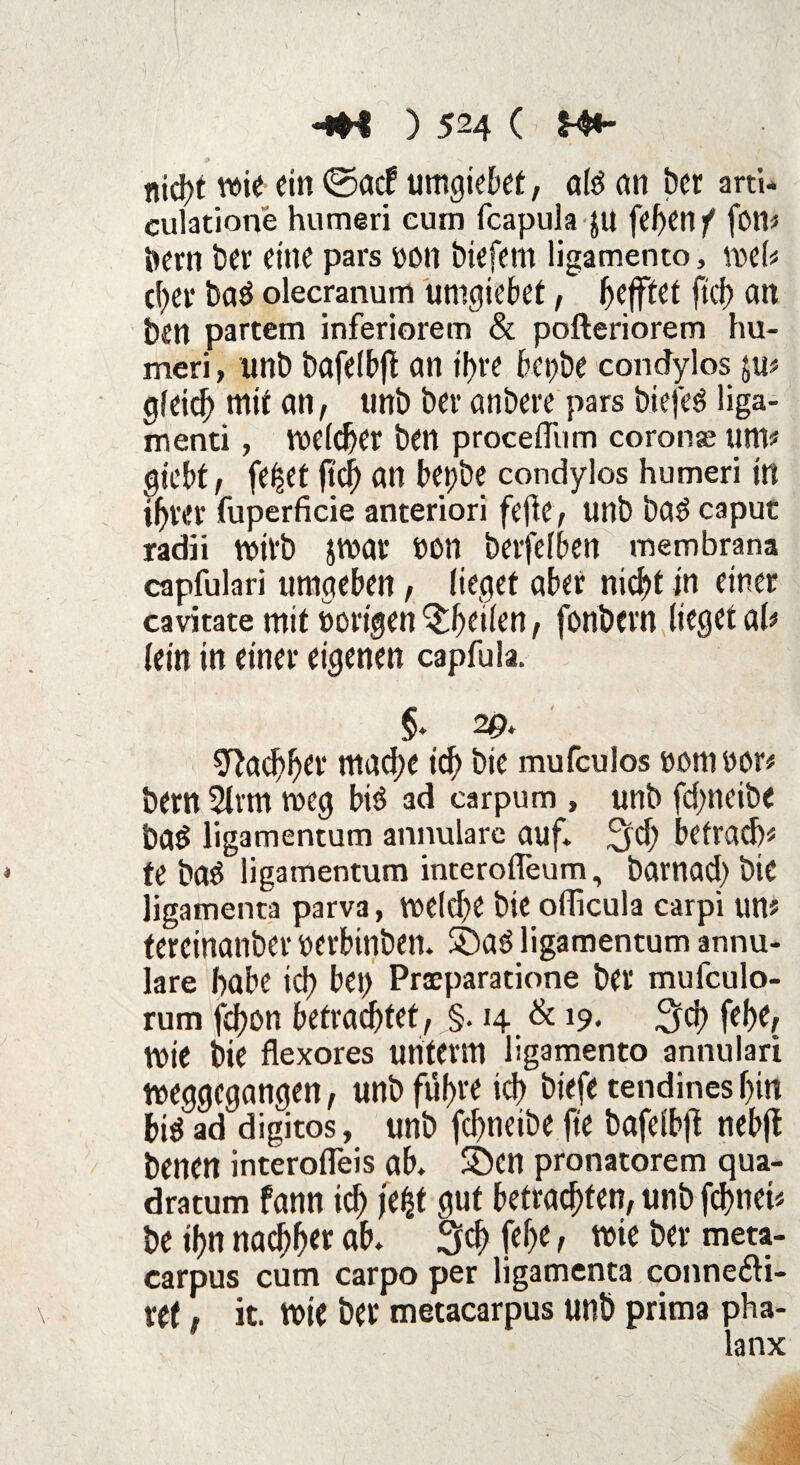 nid)t wie ein 0acf umgie^et, a& an Der arti* culatione humeri cum fcapula $u fehen f fon# öern ber eine pars »on biefern ligamento, wel# eher batf olecranum umgiebet, Refftet ftcf) an ben partem inferiorem & pofteriorem hu¬ meri , unb bafelbfl an 6ct?be condylos $u# gleich mit an, unb ber anbere pars biefeö liga- menti, welker ben proceflTum coronse um# gicbt, fe^et ftd) an bepbe condylos humeri in ihrer fuperficie anteriori fefie, unb ba$ caput radii wirb jwar t>0n berfelben membrana capfulari umgeben, lieget aber nicht in einer cavitate mit »origen ^heilen, fonbern lieget al# lein in einer eigenen capfula. §. 20. Nachher mad;e ich bie mufeulos »om »or# bern 5lvm weg biö ad carpum , unb fdmeibe bad ligamentum annulare auf* ^d) befrad)# te baö ligamentum interofleum, barnad) bie ligamenta parva, weld)e bie officula carpi tm# tereinatiber »erbinben. >DaS ligamentum annu¬ lare habe td) bei) Praeparatione ber mufculo- rum fd)on befrachtet, §. 14 & J9. 3d) fehe, Wie bie flexores unterm ligamento annulari weggegangen, unb führe ich biefe tendines hin big ad digitos, unb fefmeibe fte bafdbfl nebft benen interofleis ab. S)cn pronatorem qua- dratum fann ich fät gut betrachten, unb fchnei# be ihn nachh« ab. 3ch 1 wie her meta- carpus cum carpo per ligamenta conne&i- ret, it. Wie ber metacarpus unb prima pha- lanx