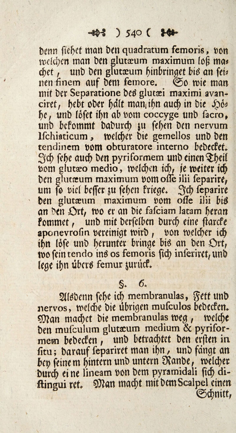 ) 54° C H** benn fielet man ben quadratum femoris, »on weichen man ben glutaeum maximum ißj? ma« cbet , unb ben glutaeum bmbrt'ngef bis an ftu neu finem auf bem femore. (g>ß wie man mit ber Separatione beö glutaei maximi avan- ciret, bebt ober hält man ihn auch in bie Jpo« he, unb lofet ihn ab »cm coccyge unb facro, unb befommt babureb ju feben ben nervum lfchiaticum, melier bie gemellos unb ben tendinem t)ßm obturatore interno bebeefet* 3$) febe auch ben pyriformem unb^ einen ^heii »cm glutaeo medio, welchen ich, je weiter ich ben glutaeum maximum Vßmofle ilii feparire, um fß viei bejfer ju fefjen friere* ^d) feparire ben glutaeum maximum Vßtn offe ilii btS an ben Ort, wo er an bie fafeiam latam heran fommet, unb mit berfelben bureb eine flarcfe aponevrofm vereinigt wirb , vßn welcher ich tbn löfe unb herunter bringe bis an ben Ort, Wßfeintendo inS os femoris ftd) inferiret, unb lege ihn übers femur juruef. §. 6. 2llSbenn febe ich membranulas, gett unb nervös, weiche bie übrigen mufeulos bebeefen. sjftan machet bie membranulas weg , weiche ben mufculum glutaeum medium & pyrifor- mem bebeefen, unb betrachtet ben etfen in fitu; barauf fepariret man ihn, unb fängt an bet) feinem hintern unb untern Ütanbe, welcher burch ei ne lineam Vßn bem pyramidali ftcb di- ftingui ut SÖtan mad;t mit bem Scalpel einen b ' (Schnitt,