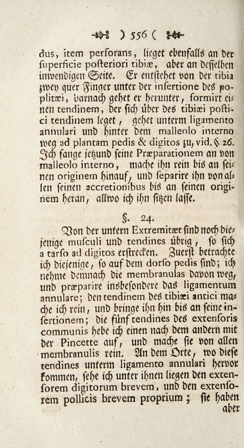 dus, item perforans, lieget ebenfalls an bet fnperficie pofteriori tibiae, aber an befjelben imwnbigen ©eite. (Sr entfielet non ber tibia jwei> quer Ringer unter ber infertione beä po- plitaei, barnach gebet er herunter, formirt ei« neu tendinem, ber ftd) Über beö tibicei pofti- ci tendinem (eget, gebet unterm ligamento annulari unb hinter bem malleolo interno meg ad piantam pedis & digitos ju7 vid. <§. z6, 3cb fange je|unb feine Prseparationem an uon malleolo interno, mache ihn rein biö an fei* nen originem hinauf/ unb feparire ihn »on ab len feinen accretionibus biö an feinen origi¬ nem heran, aörno ich ihn f%n foffri $• 24. ^3on ber unfern Extremitxt ft'nb noch bie* j'entge mufeuli unb tendines übrig , fo ftd> a tarfo ad digitos erflreden. guerjt betrachte ich bieienige, fö auf bem dorlo pedis finb; ich nehme bemnacb bie membranulas banon meg, unb praeparire in^befonbeve baö ligamentura annulare; ben tendinem beä tibixi antici ma* che ich rein, unb bringe ihn hin biö an feine in- fertionem; bie fünf tendines be$ extenforis communis hebe ich einen nad) bem anbern mit ber Pincette auf, unb mache fte non allen •membranulis rein. Slnbemörte, mo biefe tendines unterm ligamento annulari f)CUüOU fommen, (ehe ich unter ihnen liegen ben exten- forem digitorum brevem, unb ben extenlb- rem pollicis brevem proprium ; fte ^abett