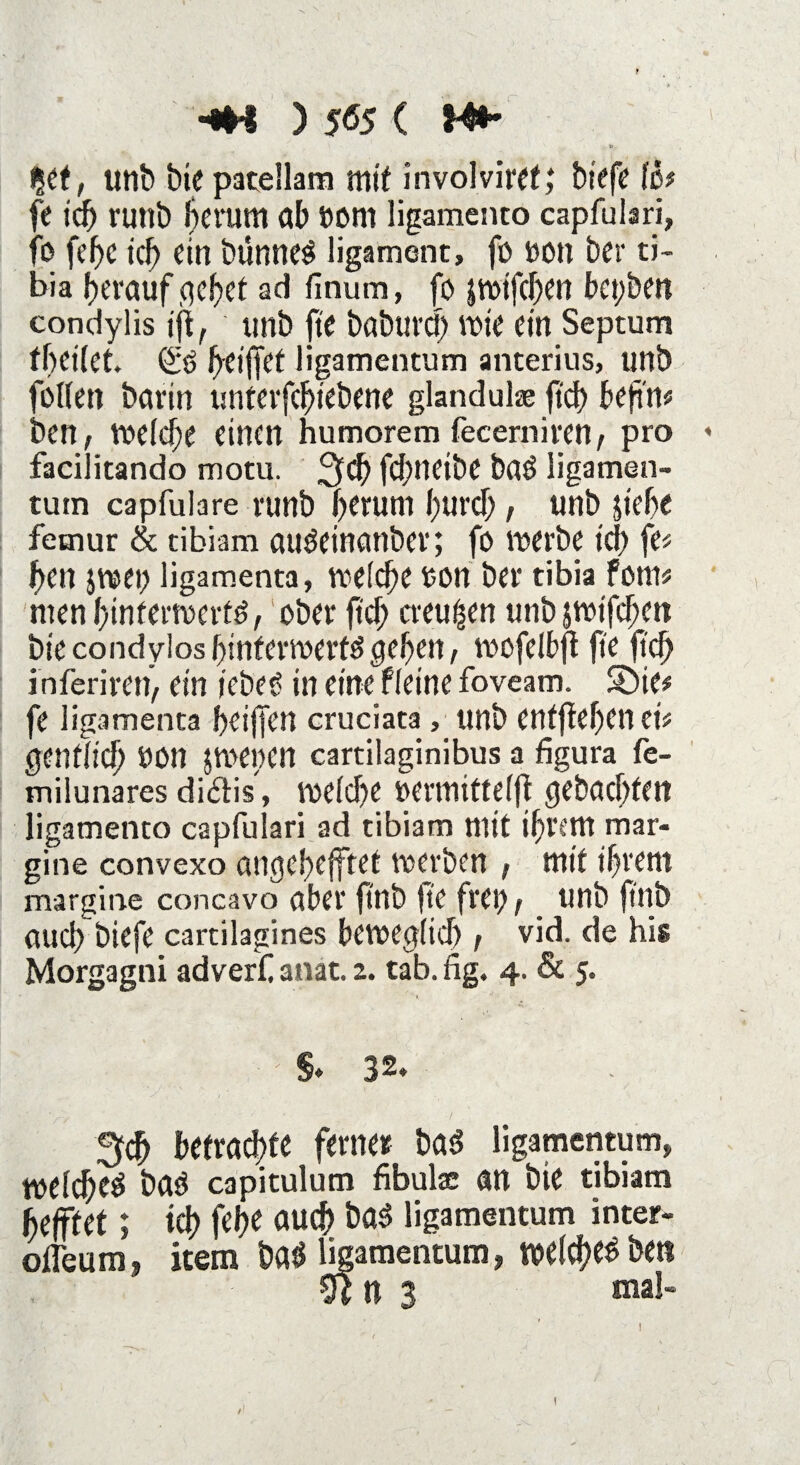 f ) 565 ( %tt, unb bte patellam mit involviref; biefe (ö* fe icfj ruttb fjcrum öb »Om ligamento capfulari, fo fcbc tcf) ein bünne^ ligamont, fo ttOtl ber ti¬ bi a herauf ,qehet ad finum, fo jwifchen bepben condylis ijt, unb ft'e baburdj Wie ein Septum fheiiet. (£0 heiffet ligamentum anterius, unb folien barin untevfduebene glandul® ftd> befi'n* ben, We(cf;e einen humorem fecerniren, pro facilitando motu. 3<h fchneibe ba£ ligamen- tum capfulare runb herum hurd), unb jiehe femur & tibiam auöetnanber; fo werbe ich fe* hen $wep ligamenta, weiche ton ber tibia fotn* menhinferwer^, ober ftch creußen unb jwifchen bte condylos (unterwerft gehen, wofeibft ft'e ftch inferirett, ein tebeS in eine fieine foveam. Sbie* fe ligamenta heiffen cruciata, unb enffiehen ei* ^entlieh uon jwepen cartilaginibus a figura fe- milunares didis, weiche oermitfeljt $ebacf)ten ligamento capfulari ad tibiam mit ihrem mar- gine convexo autjehefftet werben , mit ihrem margine concavo über ftnb ft’e freo t unb ftnb auch biefe cartilagines bewegiid) f vid. de his Morgagni adverf anat. 2. tab. fig. 4. & 5. • ' §♦ 32. 3$ betraute ferner bat ligamentum, weid;e£ bat capitulum fibulae an bie tibiam heftet; ich fehe auch bat ligamentum inter- offen m, item bat ligamentum, welche ben Ottt 3 mal«