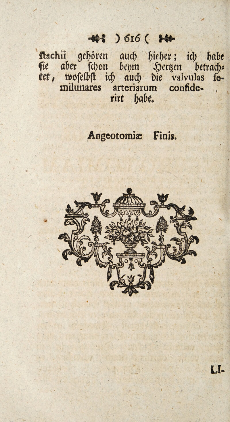 ftachii geboren atidf> f)kfyex; td; hak fte akx fd)on kym Qtxfym ktxafy ttt i t&üfdbft td) aud) ine valvulas fe- milunares arteriarum confide- , riet f)ab& Angeotomiae Finis. 1 \ \