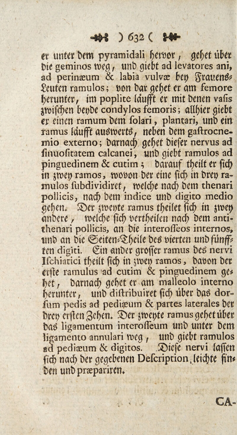 tt unter bem pyramidali beröor , gcfyet über t)ic geminos weg, unb giebt ad levatores ani, ad perinaeum & labia vulvae bt\) grauend? Leuten ramulos; »on bar gebet er am femore herunter, im poplite (dufft er mit benen vafis jwifcben bepbe condylos femoris; aflftier giebt er einen ramum bern folari, plantari, unb ein ramus [dujff au^werts, neben bent gaftroene- mio externo; bawacb gebet biefer nervus ad finuofitatem calcanei, unb giebt ramulos ad pinguedinem & cutim; barauf tbeitt er ftd) in jmep ramos, wouon ber eine ftd) in brep ra¬ mulos lubdividiref f meid)t nad) bem thenari pollicis, nad) bem indice unb digito medio geben, ©er jwentc ramus feilet ftcb in jmet) anbere, wetebe Od? uerf beiten nacf> bem anti- thenari pollicis, an bie interoffeos internes, unb an bie ©eiten^beite beö werten unb fünft* fen digiti. €in anber großer ramus beö nervi Ifchiadci tbeitt ftd) in jwet> ramos, baöon ber elfte ramulus ad cutim & pinguedinem ge* bet, barnacb gebet er am malleolo interno herunter, unb diftribuiret fid) über ba$ dor- fum pedis ad pedi?eum & partes laterales ber brci? erftengeben. ©er jn>ei>fe ramus gebet über baö ligamentum interofleum unb unter bem ligamento annulari weg , unb giebt ramulos sd pediaeum & digitos. ©iefe nervi taffen ftd) nach ber gegebenen Defcription, leiste firn ben unb praepariren. y t CA-