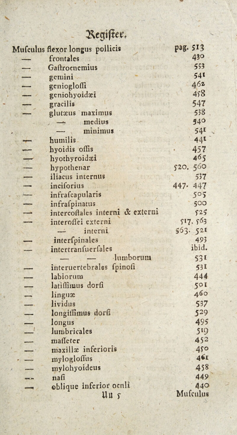 - ^egifier, \ Mufcultis flexpr longus pollicis pag. 513 ——. frontales 43° —_ Gaftroenemius 533 — gemini 54* — genioglolll 46a «— geniohyoidaei 438 — gracilis 547 * ^ glutaeus maximus 538 . , rnedius 540 • — v minimuf 54* , — humilis- , ’ 441' hyoidis offis 457 ■— hyothyroidaei 465 hypothenar $20. 560 — iliacus internus 537 —* inciforius 447. 447 — infrafeapularis 505 — infrafpinatus 500 — intercoßaies interni externi 525 — interoffei extern! 5*7. f<*3 — interni 563. 521 interfpinaies 493 .. ,n- intcrtranfuerfales ibid. — — 1 umbor um 53* interuertebrales fpinofi 53* labioruna 444 - latiffimus dorfi 5°t .—. linguse 4<5o —— lividus 537 —— longiffimus dorß 529 mmmmm longus 495 _/ lumbricales 5*9 ___ maßefer 452 ...... ' maxiüte inferioris .45° *► M r mylogloßus , 461 mylohyoideus 458 V mm.jm naß 449 . ©blique inferior ocnli 440 Uu f Mufculus ( I