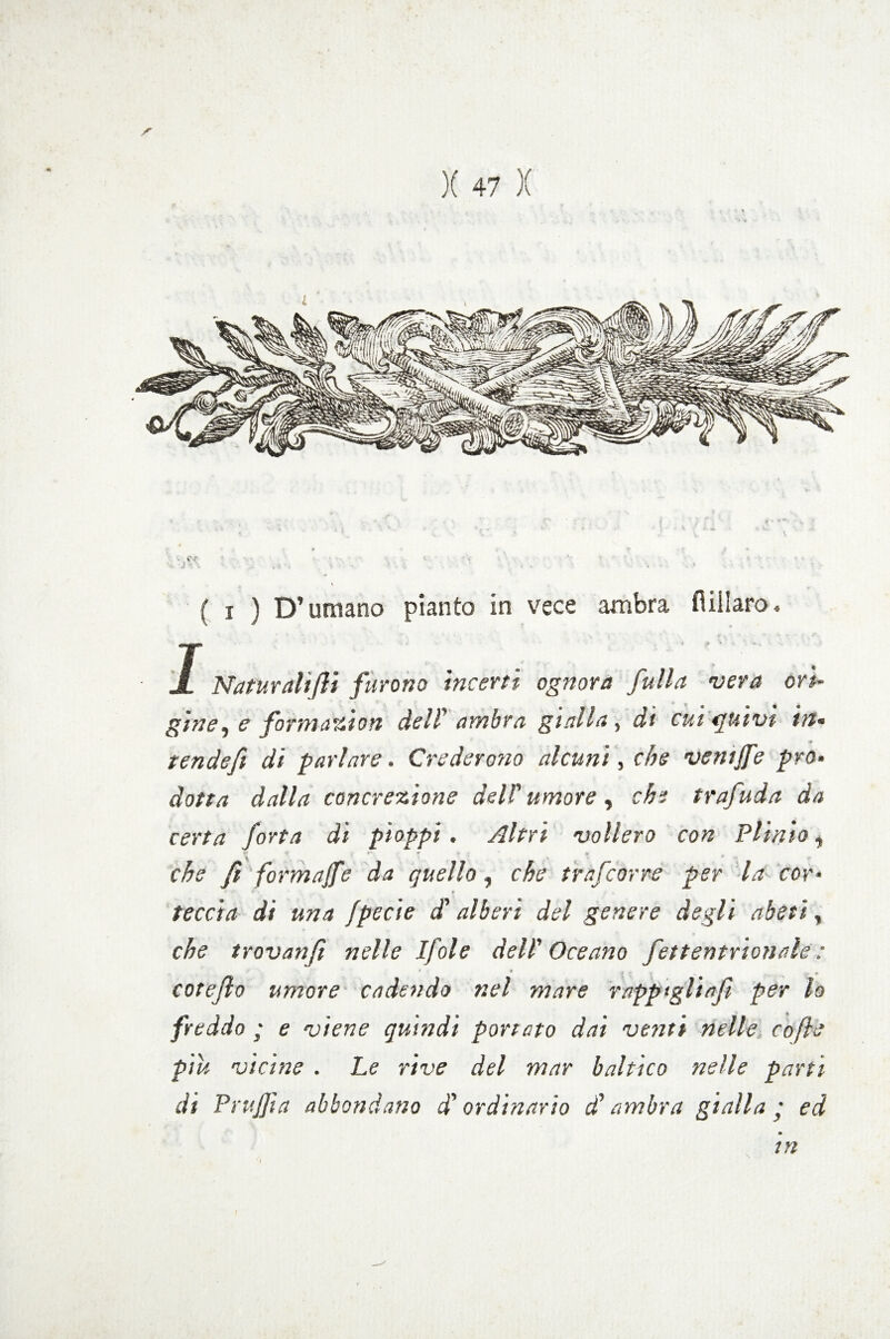 - «vr- * • • <. •••-. ; *\ • «.* . : • ' > ‘ ■ .. • 4 - 4 . ■ , { i ) D’umano pianto in vece ambra fiiliaro. I Naturati (li furono incerti ognora fulla vera ori¬ gine, e formazion dell' ambra gialla, ài cui cpuivt in« tende fi di parlare. Crederono alcuni, che ve nife prò. dotta dalla concrezione dell' umore, che trafuda da certa forta di pioppi. Altri vollero con Plinio i f » #v f f ^ fi formajfe da quello, trafcorre per la cor* feccia di una fpecie d'alberi del genere degli abeti, trovanfi nelle Ifole dell' Oceano fettentrionale : * i : . cote fio umore cadendo nel mare rappigli afi per lo freddo ; e viene quindi portato dai venti nelle cofle piu vicine . Le rive del mar baltico nelle parti dt Prufiìa abbondano d'ordinario d'ambra gialla • ed in