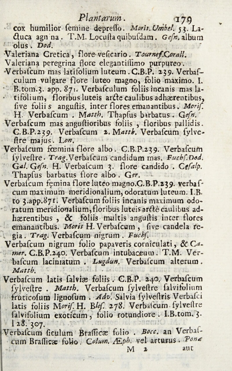 * cox humilior femine depreffo. Moris.Umbel. 53. La- dluca agn na . T.M. Locuftaquibufdam. Gefn. album olus . Dod. Valeriana Cretica, flore veficario. Tournef.Qorall. Valeriana peregrina flore elegantiliimo purpureo . Verbafcum mas latifolium luteum. C.B.P. 239. Verbaf- culum vulgare flore luteo magno, folio maximo. I. ‘‘ B.tom.3. app. 871. Verbafculum foliis incanis mas la- * tifolium, floribus luteis arde caulibus adhaerentibus, five foliis anguftis. inter flores emanantibus. Morif. H. Verbafcum . Mdtth. Thapfus barbatus * Gefri. Verbafcum mas anguftioribus foliis , floribus pallidis. C.B.P.239. Verbafcum 2. Mattb. Verbafcum fylve- flre majus. Lont Verbalcum fosmina flore albo. C.B.P.239. Verbafcum lylveftre* Trag.Verbafcum candidum mas. Fucbf.Dod. Gal.Qefn. H. Verbalcum 3. flore candido ♦ Ctfalp. Thapfus barbatus flore albo . G er. Verbafcum femina flore luteo magno.C.B.P.239. verbaf¬ cum maximum meridionalium, odoratum luteum. I.B. to 3.app.l>7r. Verbafcum foliis incanis maximum odo- * ratum meridionalium,floribus luteis arde caulibus ad¬ haerentibus , & foliis multis anguftis inter flores emanantibus. Moris H. Verbafcum , fi ve candela re- . gia. Trag. Verbafcum nigrum . Fuchjl Verbafcum nigrum folio papaveris corniculati, & O- mer. C.B.P.240. Verbafcum intubaceum. T.M. Ver¬ bafcum iaciniatum . Lugdun. Verbafcum alterum. Mattb. * • Verbafcum latis falvfe foliis. G.B.P. 240. Verbafcum fylveftre . Matth. Verbafcum fylveftre falvifolium frucicofum lignofum * Adv. Salvia fylveftris Verbalci latis foliis H. P>lef. 278. Verbalcum fylvefire falvifolium exoticum, folio rotundiore. I.B.tom, 3* 1 28. 307. Verbafcum ficulum Bfaificas folio . Bocc, an Verbai- cum Brafficse folio . Cohm. &ph> vel arturus 'Porus