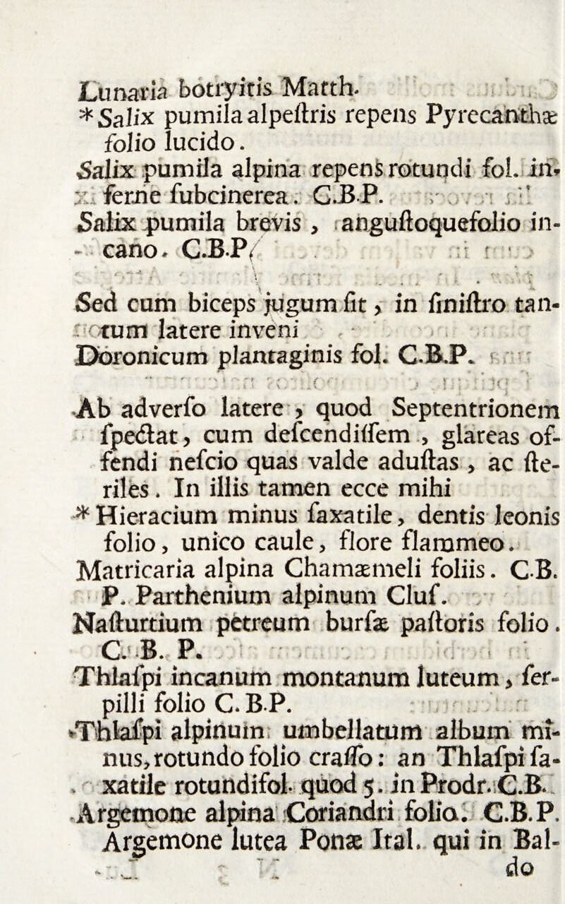 k,+ Lunaria botryitis Matth. * Salix pumila alpeftris repens Pyrecanthse folio lucido. Salix pumila alpina repens rotundi fol. in* ferne fubcinerea. G.BP. ; Salix pumila brevis , ; anguftoquefolio in- - cano. G.BP^ ,;i r • - •• . \ ., • » ^ Sed cum biceps jugum fit, in finiftro tan- otum latere inveni • Dbronicum plantaginis fol. C.B.P. Ab adverfo latere > quod Septentrionem fpedlat, cum defcendiifem , glareas of¬ fendi nefcio quas valde adultas , ac He¬ riles , In illis tamen ecce mihi ■* Hieracium minus faxatile, dentis leonis folio, unico caule, flore flammeo. Matricaria alpina Chamaemeli foliis. CB. P. Parthenium alpinum Cluf. Nafturtium petreum burfae palloris folio. C B. P. Thlafpi incanum montanum luteum > fer- pilli folio C. B.P. -Thlafpi alpinum umbellatum album mi¬ nus, rotundo folio craflo: an Thlafpifa» xatile rotundifol quod 5 .in Prodr.C.B. Argemone alpina Coriandri folia. C.B.P. Argemone lutea Ponas Ital. qui in Bal- *••• : .. do