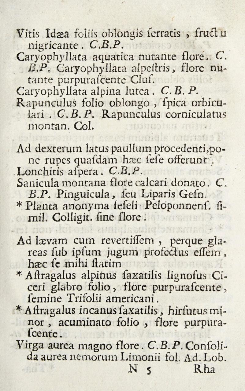 Vitis Idaea foliis oblongis ferratis , frudi; ti nigricante. C.B.P. Caryophyllata aquatica nutante flore. C. B.P. Caryophyllata alpeflris, flore nu¬ tante purpurafcente Ciuf. Caryophyllata alpina lutea. C. B. P. Rapunculus folio oblongo , fpica orbicu¬ lari . C.B.P. Rapunculus corniculatus montan. Coi. Ad dexterum latus paullum procedenti,po¬ ne rupes quafdam hsec fefe offerunt . Lonchitis afpera. C.B.P. Sanicula montana flore calcari donato. C. B.P. Pinguicula, feu Liparis Gefn. * Planta anonyma fefeli Peloponnenf. fi- mil. Colligit, fine flore. Ad laevam cum revertiffem , perque gla¬ reas fub ipfum jugum profe&us effem, haec fc mihi flatim * Aflragalus alpinus faxatilis lignofus Ci¬ ceri glabro folio, flore purpurafcente, femine Trifolii americani. * Aflragalus incanus faxatilis, hirfutus mi¬ nor , acuminato folio , flore purpura¬ fcente. Virga aurea magno flore. C.B.P. ConfoJi- da aurea nemorum Limonii fol. Ad. Lob. N s Rha