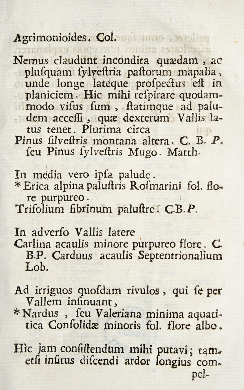 Agritnonioides. CoL Nemus claudunt incondita quzedam » ac plufquam fylveftria paftorum mapalia, unde longe lateque profpectus eit in planiciem - Hic mihi refpirare quodam¬ modo vifus fum , ftatimque ad palu¬ dem acceffi , quae dexterum Valiis la¬ tus tenet. Plurima circa Pinus filveftris montana altera . C. B. P. feu Pinus fylveftris Mugo- Matth- In media vero ipfa palude. * Erica alpina paluftris Rofmarini fol. flo¬ re purpureo. ; Trifolium fibrinum paluftre. GB.P. In adverfo Vallis latere Carlina acaulis minore purpureo flere . G BP. Carduus acaulis Septentrionalium Lob. Ad irriguos quofdam rivulos , qui fe per Vallem infinuant, * Nardus , feu Valeriana minima aquati- tica Confolidae minoris fol. flore albo. Hic jam confiftendum mihi putavi; tam- etfi infitus difeendi ardor longius com- pel-