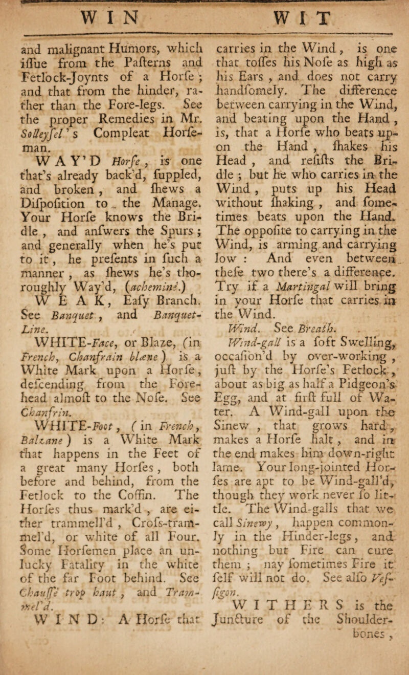 and malignant Humors, which iffiue from the Pa herns and Fetlock-Joynts of a Horfe ; and that from the hinder, ra¬ ther than the Fore-legs. See the proper Remedies in Mr. Solleyfel1 s Com pleat Horfe- man. WAY’D Horfe , is one that’s already back'd, fuppled, and broken , and fhews a Difpofition to . the Manage. Your Horfe knows the Bri¬ dle , and anfwers the Spurs ; and generally when he’s put to it, he prefents in fuch a manner , as lhews he’s tho- roughly Way’d, (achemine.) WEAK, Eafy Branch. See Banquet , and Banquet- Line. <■ ’ WHITE-Frr*, or Blaze, fin French, Chanfrain blcene ) is a White Mark upon a Horfe, defcending from the Fore¬ head almoft to the Nofe. See Chanfrin. WHiTE-Focr, ( in French, Balzane ) is a White Mark that happens in the Feet of a great many Horfes, both before and behind, from the Fetlock to the Coffin. The Horles thus mark'd , are ei¬ ther trammell’d , Crcfs-tram- fiiel’d, or white of all Four. Some Iiorfemen place an un¬ lucky Fatality in the white of the far Foot behind. See Chauffé trop haut , and Tram¬ mel'd. WIND: A Horfe that carries in the Wind , is one that toffies his Nofe as high as his Ears , and does not carry handfomely. The difference between carrying in the Wind, and beating upon the Hand , is, that a Horfe who beats up¬ on the Hand , fhakes his Head , and refills the Bri¬ dle ; but he who carries in the Wind , puts up his Head without lhaking , and fome- times beats upon the Hand. The oppofite to carrying in the Wind, is arming and carrying low : And even between thefe two there’s a difference. Try if a Martingal will bring in your Horfe that carries in the Wind. Wind. See Breath. Wind-gall is a foft Swelling, occafi'on’d by over-working , jufl by the Horfe’s Fetlock , about as big as half a Pidgeon’s Egg, and at hill full or Wa¬ ter. A Wind-gall upon the Sinew , that grows hard, makes a Horfe halt , and in the end makes him down-right lame. Your long-jointed Hor¬ fes are apt to be Wind-gall’d, though they work never lo lit¬ tle. The Wind-galls that we call Sinewy , happen common¬ ly in the Hinder-legs, and nothing but Fire can cure them ; nay fometimes Fire it felf will not do. See alio Vef- figon. W I T H E R S is the Juncture of the Shoulder- bones ,
