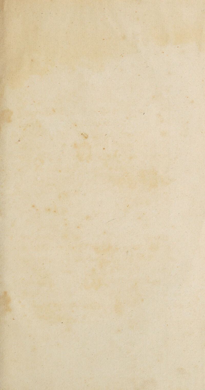 i A *■ - / t ' • •