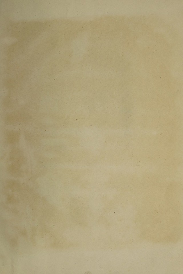 digitised image 3
