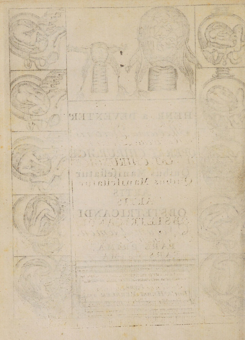 dept pun: ub fesso poena --^ Mau? Amel eer deni ul t a ap vrynimawme ms tpm 4! EN AAT QM es neret eim * bs