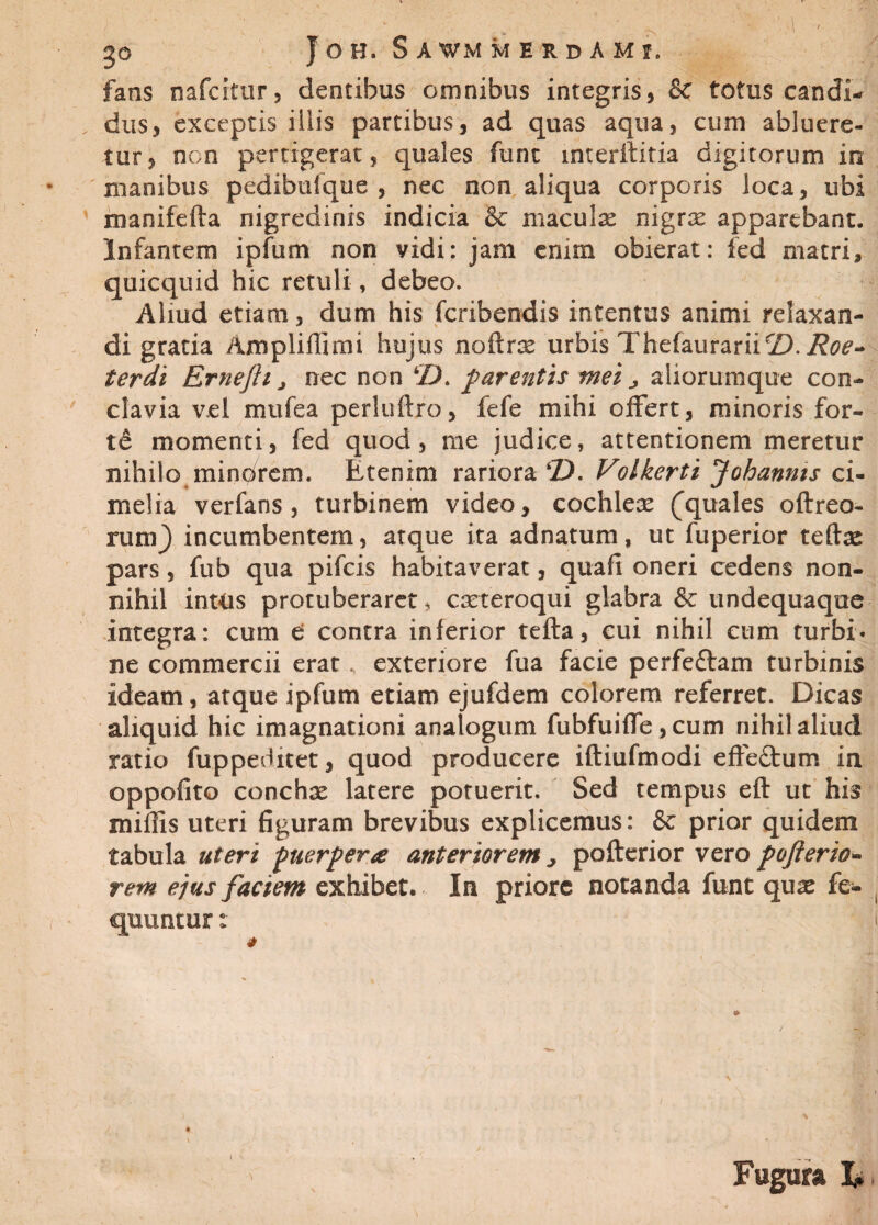 „ _ *' > 1 .-'-I t gO JOH. S A WM MERDAMf, fans nafcitur, dentibus omnibus integris, & totus candi¬ dus, exceptis illis partibus, ad quas aqua, cum abluere¬ tur, non pertigerat, quales funt interftitia digitorum in manibus pedibuique , nec non aliqua corporis loca, ubi manifefta nigredinis indicia & maculae nigrae apparebant. Infantem ipfum non vidi: jam enim obierat: ied matri, quicquid hic retuli, debeo. Aliud etiam, dum his fcribendis intentus animi relaxan¬ di gratia Ampliffimi hujus noftrce urbis Thefaurarii©. Roe- terdi Ernejh j nec non 2X parentis mei > aliorumque con¬ clavia v.el mufea perluftro, fefe mihi offert, minoris for¬ te momenti, fed quod, rae judice, attentionem meretur nihilo minarem. Etenim rariora ©. Volkerti Johannts ci- melia verfans, turbinem video, cochleae Aquales oftreo- Tum) incumbentem, atque ita adnatum, ut fuperior teftae pars, fub qua pifcis habitaverat, quafl oneri cedens non¬ nihil intus protuberaret, caeteroqui glabra & undequaque integra: cum e contra inferior tefta, cui nihil cum turbi* ne commercii erat, exteriore fua facie perfe&am turbinis ideam, atque ipfum etiam ejufdem colorem referret. Dicas aliquid hic imagnationi analogum fubfuiffe ,cum nihil aliucl ratio fuppeditet, quod producere iftiufmodi effedtum in oppofito conchae latere potuerit. Sed tempus eft ut his miffis uteri figuram brevibus explicemus: & prior quidem tabula uteri puerpera anteriorem > pofterior vero pofterio- rem ejus faciem exhibet. In priore notanda funt quae fe- quuntur: 1 1 Fugura X.