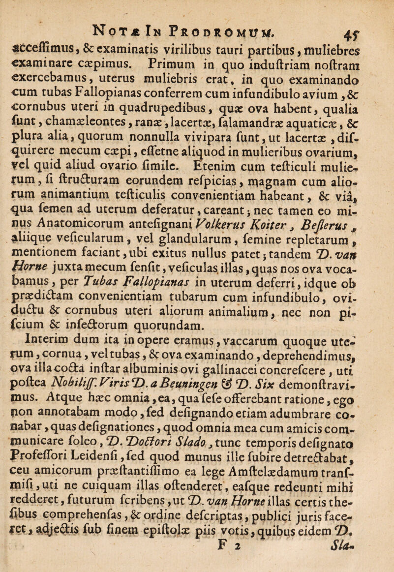 ACeeflimus, & examinatis virilibus tauri partibus, muliebres examinare capimus. Primum in quo induftriam noftram exercebamus5 uterus muliebris erat, in quo examinando cum tubas Fallopianas conferrem cum infundibulo avium, 8c cornubus uteri in quadrupedibus, qux ova habent, qualia funt, chamaeleontes, ranas, lacertx, falamandrae aquaticas, & plura alia, quorum nonnulla vivipara funt, ut lacertas ,dif- quirere mecum caepi, eflfetne aliquod in mulieribus ovarium, vel quid aliud ovario fimile. Etenim cum tefticuli mulie¬ rum, fi ftrufturam eorundem refpicias, magnam cum alio¬ rum animantium tefticulis convenientiam habeant, & via, qua femen ad uterum deferatur, careant * nec tamen eo mi¬ nus Anatomicorum antefignani Volkerus Kotter , Bejlerus # ^liique veficularum, vel glandularum, femine repletarum, mentionem faciant,ubi exitus nullus patetjtandem T).van Horne juxta mecum fenfit, veficulas, illas, quas nos ova voca¬ bamus, per Tubas Fallopianas in uterum deferri,idque ob prasdiftam convenientiam tubarum cum infundibulo, ovi- du£tu & cornubus uteri aliorum animalium, nec non pi- fcium & infeftorum quorundam. Interim dum ita in opere eramus, vaccarum quoque ute¬ rum, cornua, vel tubas, 8c ova examinando, deprehendimus, ova illaco£fca inftar albuminis ovi gallinacei concrefcere , uti poftea NobiliJT.VirisTT.aBeuningen & *D. Six demonftravi- mus. Atque hxc omnia, ea, qua fefe offerebant ratione, ego fion annotabam modo,fed defignando etiam adumbrare co¬ nabar , quas defignationes, quod omnia mea cum amicis com¬ municare foleo, *D. ^Doblori Slado > tunc temporis defignato Profeffori Leidenfi,fed quod munus illefubiredetreftabat, ceu amicorum prxftantiflimo ea lege Amftehedamum tranf- xnifi, uti ne cuiquam illas oftenderet , eafque redeunti mihi redderet, futurum fcribens,ut T>. van Horne i\hs certis the- fibus comprehenfas ,& ordine deferiptas, publici juris face- ret, adjedis fub finem epiftohe piis votis, quibus eidem fD.