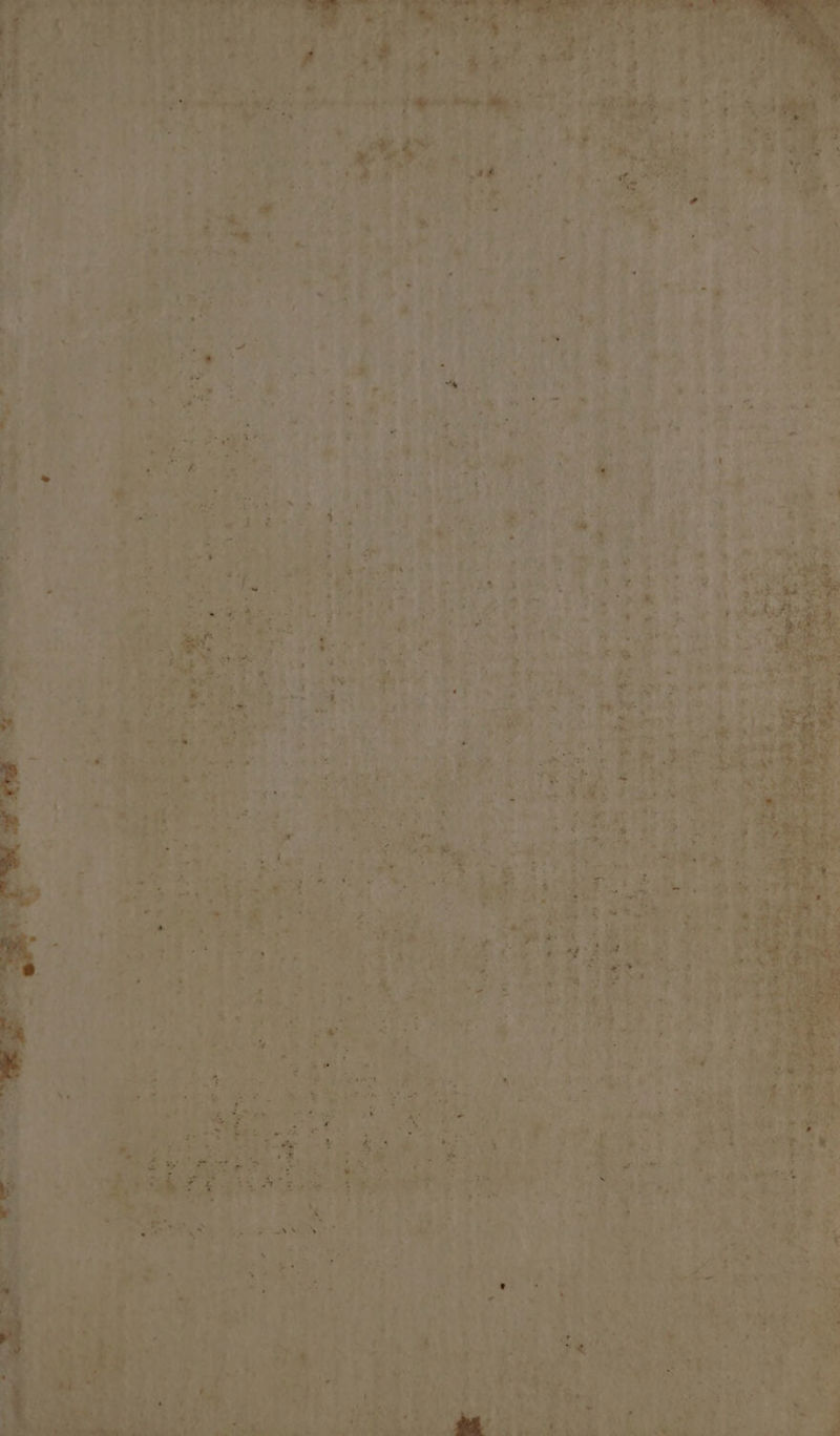 eee et 2 eee sh: +g et. ee *~ a. - A es ed Se,