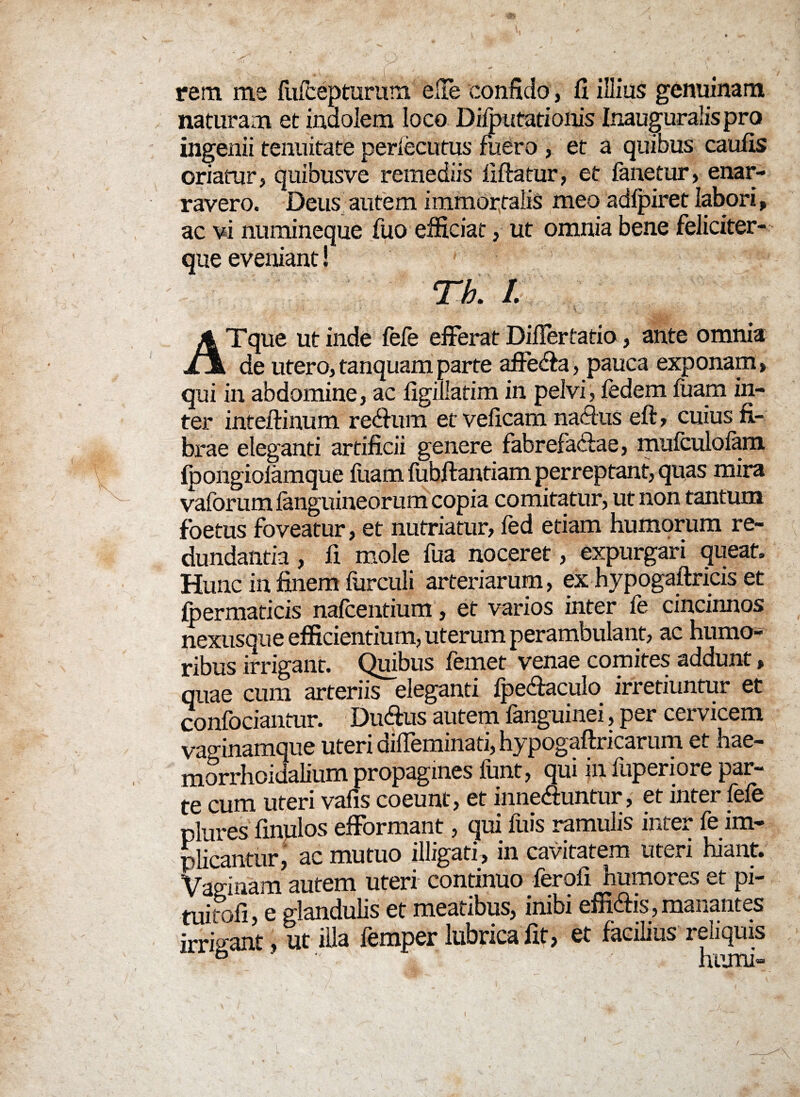 rem me fufcepturum elle conficio, fi illius genuinam naturam et indolem loco Difputationis Inauguralis pro ingenii tenuitate perfecutus fuero , et a quibus caulis oriatur, quibusve remediis fiftatur, et fanetur, enar¬ ravero. Deus autem immortalis meo adfpiret labori, ac vi numineque fuo efficiat, ut omnia bene feliciter- que eveniant! ' * 'r Th. I ATque ut inde fefe efferat Differtatio, ante omnia de utero, tanquam parte affeffa, pauca exponam» qui in abdomine, ac figillatim in pelvi, fedem luam in¬ ter inteftinum redhim et veficam nadus eft, cuius fi¬ brae eleganti artificii genere fabrefactae, mufculofam fpongiolamque litam fubftantiam perreptant, quas mira vaforum languineorum copia comitatur, ut non tantum foetus foveatur, et nutriatur, fed etiam humorum re¬ dundantia , fi mole fua noceret, expurgari queat» Hunc in finem furculi arteriarum, ex hypogaftricis et fbermaticis nafcentium, et varios inter fe cincinnos nexusque efficientium, uterum perambulant, ac humo¬ ribus irrigant. Quibus femet venae comites addunt, quae cum arteriis eleganti fpe<ftaculo irretiuntur et confociantur. Duffus autem fanguinei, per cervicem vaginamque uteri diffeminati, hypogaftricarum et hae- morrhoidalium propagines funt, qui in fuperiore par- Scum uteri vafis coeunt, et inne&intur, et inter fefe plures finplos efformant, qui fuis ramulis inter fe im¬ plicantur, ac mutuo illigati, in cavitatem uteri hiant. Vaginam autem uteri continuo ferofi humores et pi- tnimfi, e glandulis et meatibus, inibi efficis,manantes SigU, It illa femper lubrica fit, et facilius reliquis b ' - humi»
