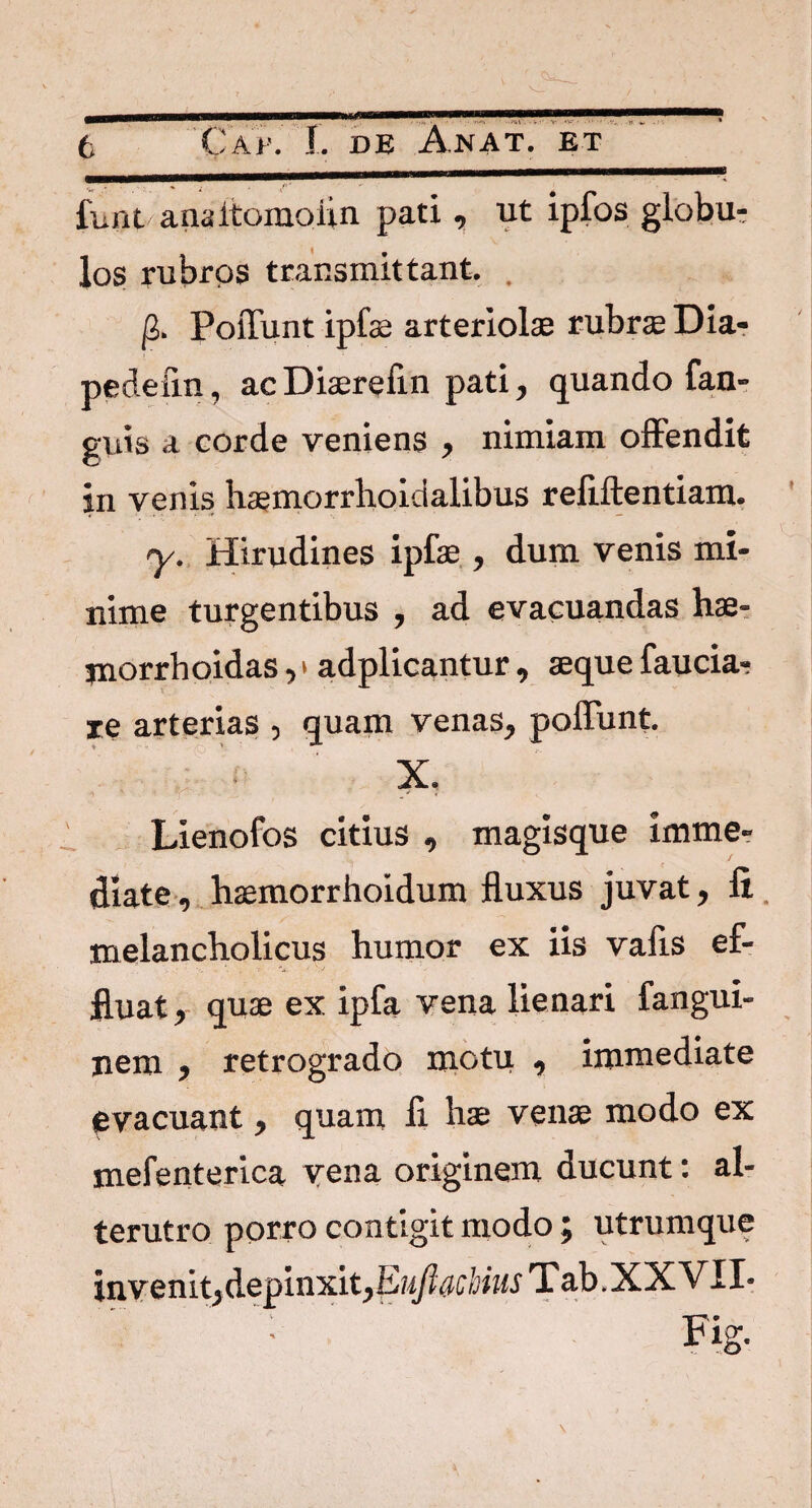 funt anaitomoiin pati, ut ipfos globu¬ los rubros transmittant. . fl,. PoiTunt ipfae arteriolae rubrae Dia- pedeiin, ac Diaerefin pati, quando fan- guis a corde veniens , nimiam offendit in venis haemorrhoidalibus reflftentiam. y. Hirudines ipfae , dum venis mi¬ nime turgentibus , ad evacuandas hae- jnorrhoidas, > adplicantur , aeque faucia- xe arterias , quam venas, poliunt X. Lienofos citius , magisque imme¬ diate, haemorrhoidum fluxus juvat, li melancholicus humor ex iis vafis ef¬ fluat , quae ex ipfa vena lienari fangui- nem , retrogrado motu , immediate evacuant, quam fl hae venae modo ex mefenterica vena originem ducunt: al¬ terutro porro contigit modo; utrumque invenit, depinxit, Euftdchius Tab.XXVII-