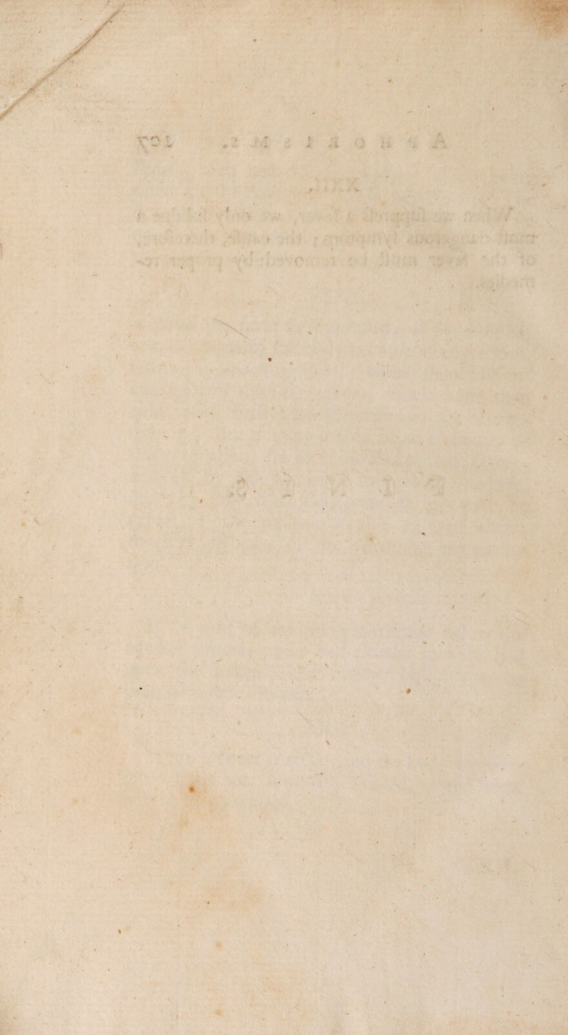 I 1 f / / # % ♦ 1 i