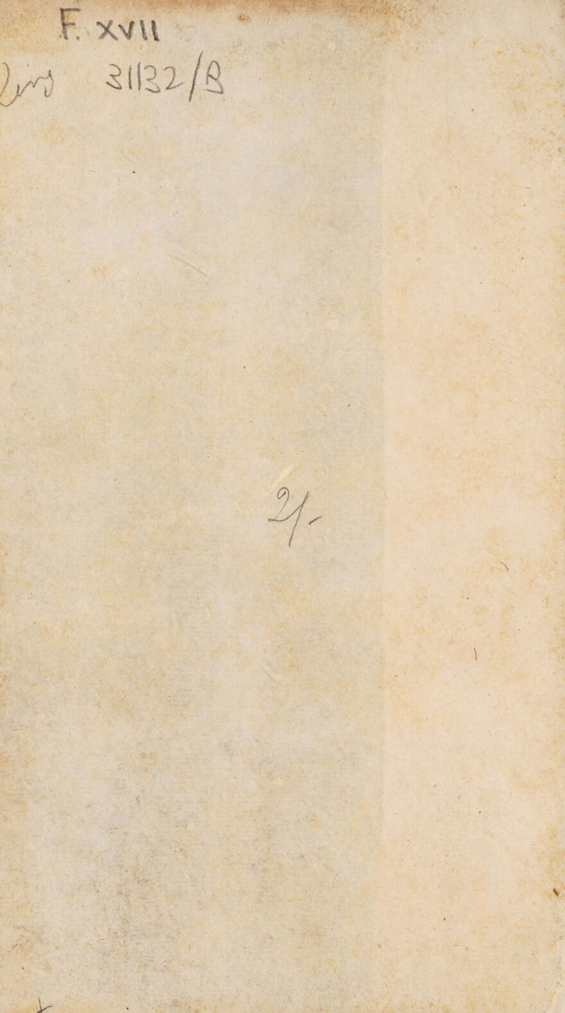 \ i i - '* . -r- *. •. i- ■K\ I