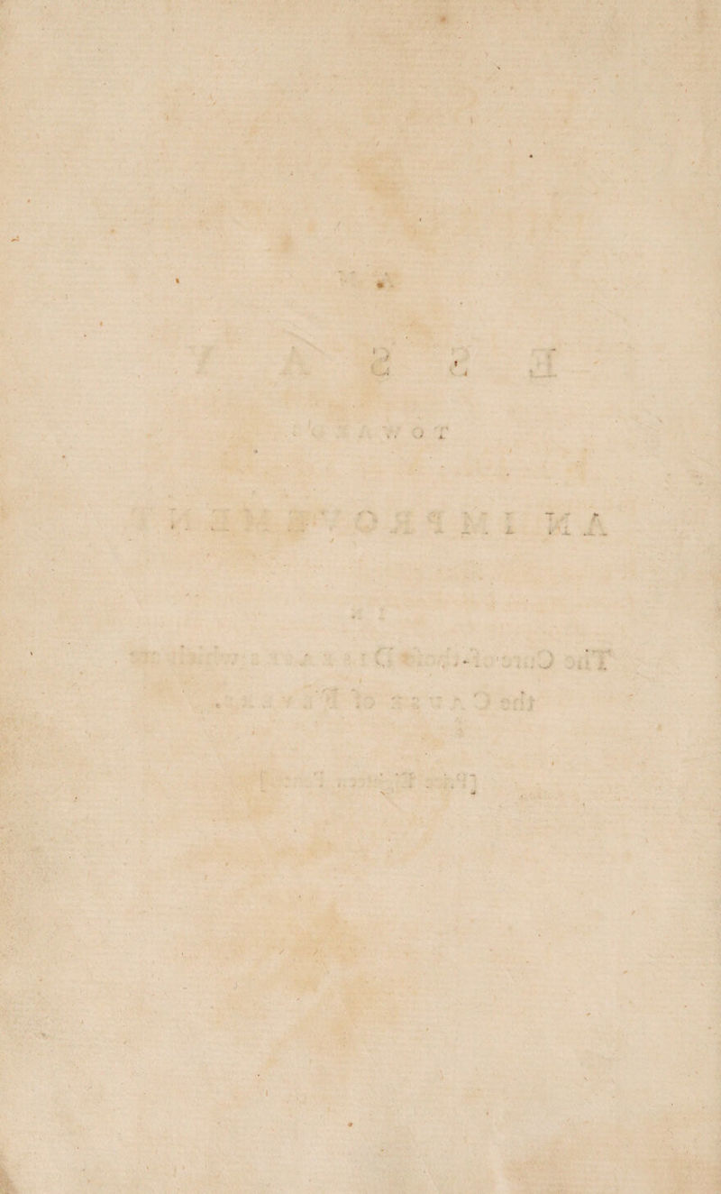 ' I t . ' t- t. ■ . -j . , ' • &lt;•' t i ^ ' / /■ v ‘ «