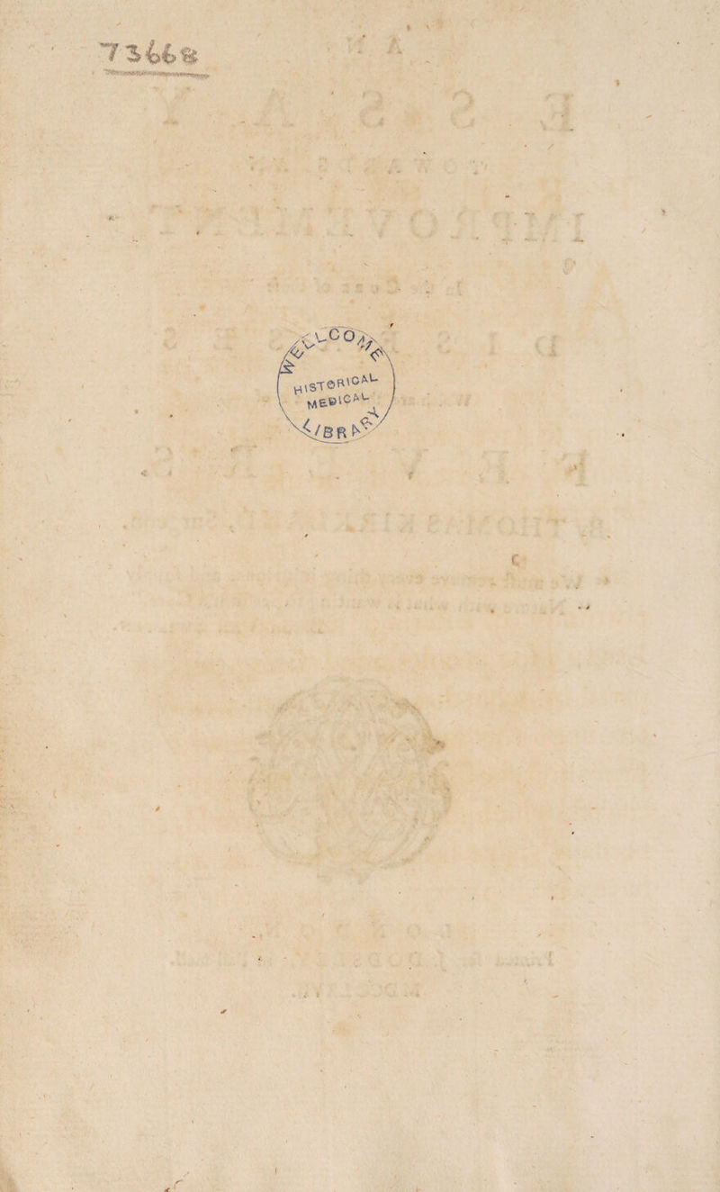 WO* i &lt; &lt;r 4 fr h,sTorvgM- &lt;/BR^ * v; V / • * &lt;e I