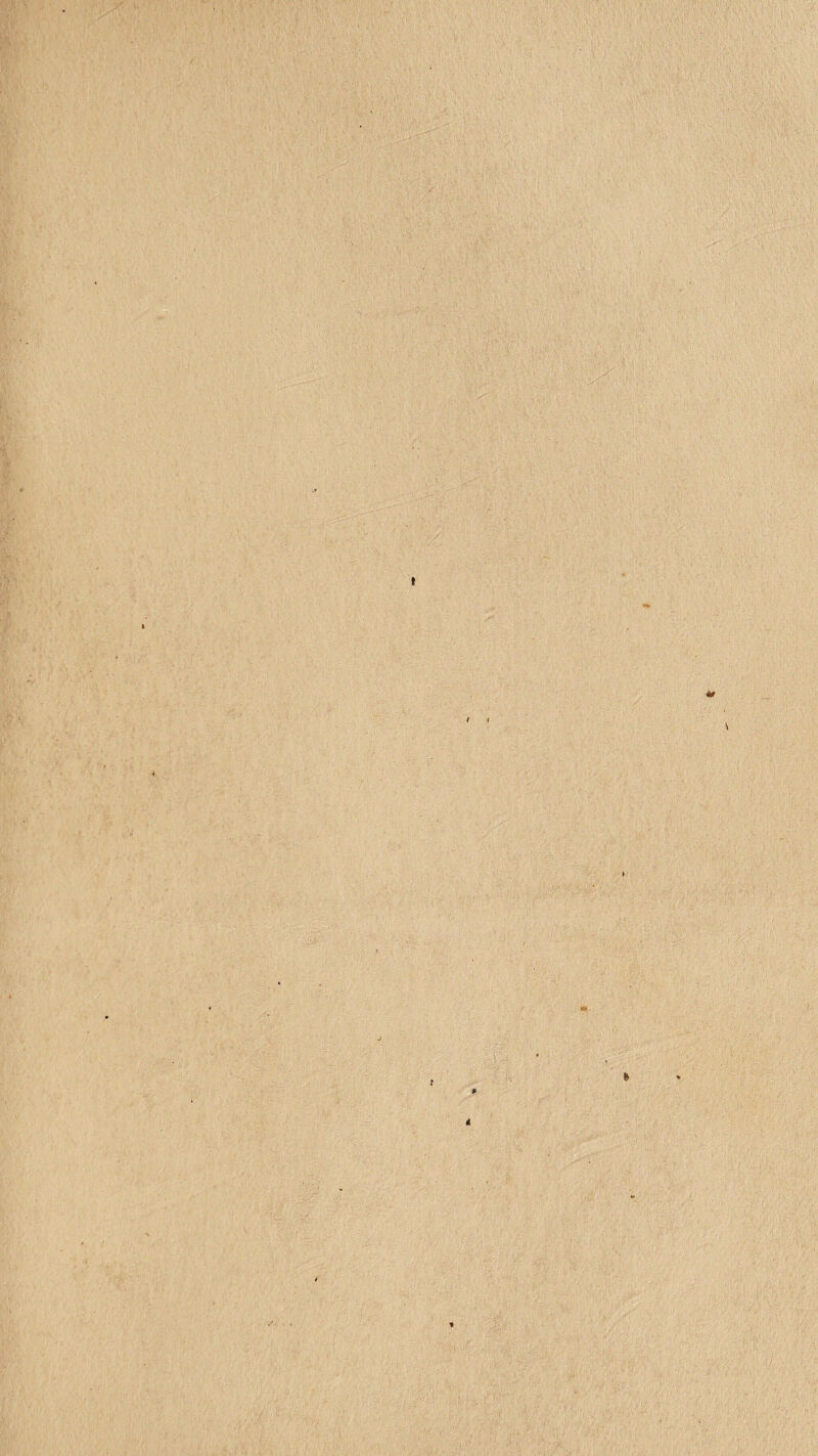 • * ' ' ' -.cyy.t 1 .y.-.v 7 s' s' ■ . ’ •;» . » . . -