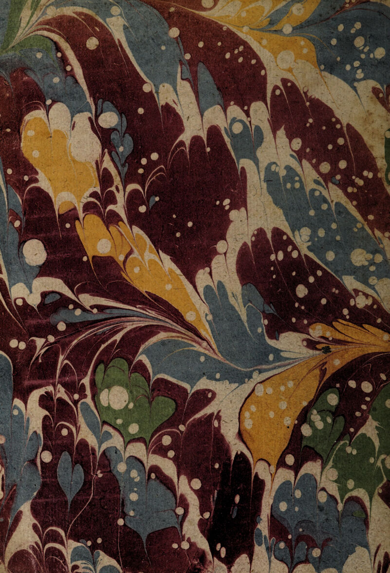 && i Wv^V JL 'R ,Vi«t- MBm resBtJl. >jq|F i • u l liss-s®^ Jf \ : ! KKSk^fii ®BEvVi^l?i2¥K £•■ \ _-y5Wo ragsgk f • ^Bfl \ Mmmm llBBr 4