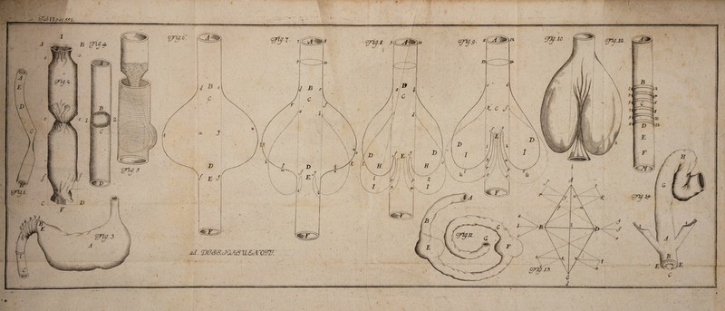 I I I L / / tTa.1 Yl.paci ad. <D£JSS.cHU6U6dV'<dTU. \