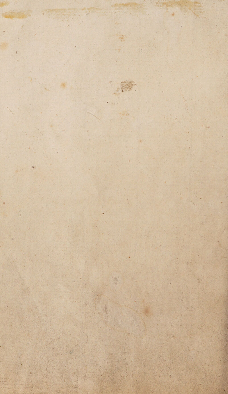 ■ W f I r . i * V' f ■+ . . •V' •- />f . . • r t' w ' sj£ ■ v. \ ^ .. ■ -v ’v: v •> • jT‘ • . : - ,' ■ :  T \ ■ ■ '' ' 'mt: