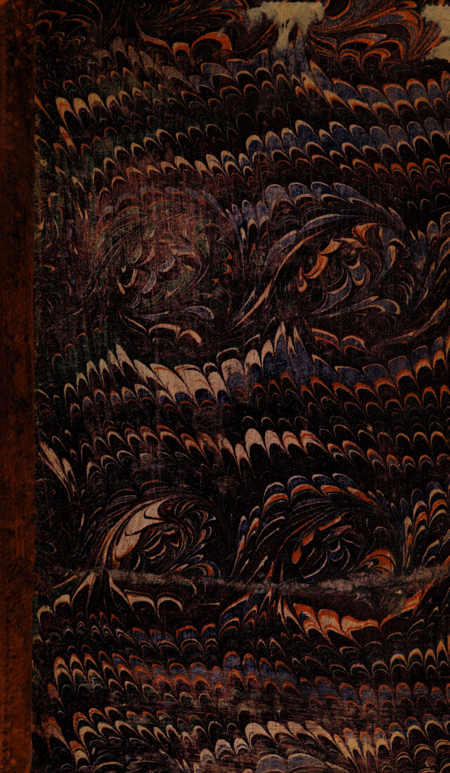 No text description is available for this image