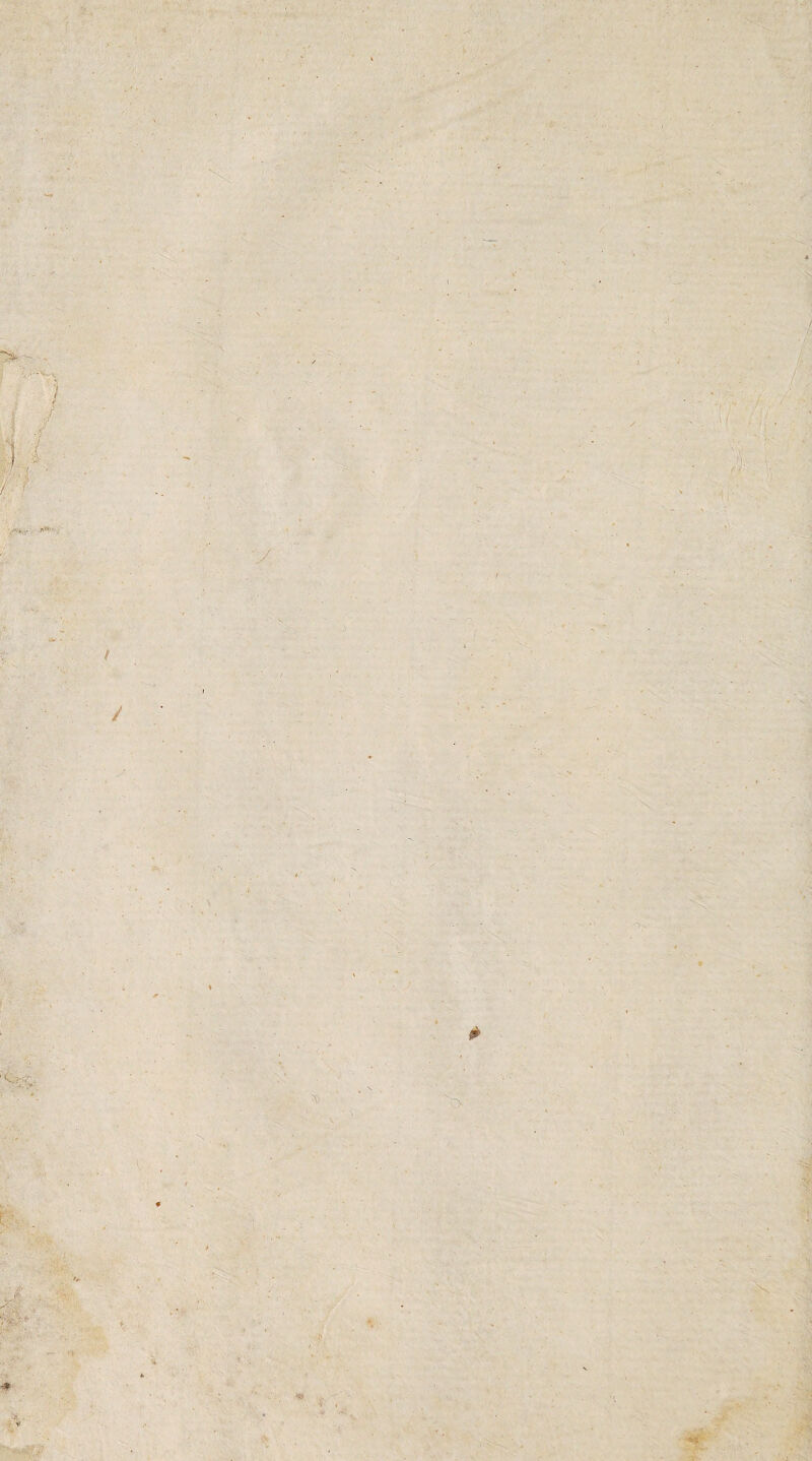 ■/&' -■ Æ •', • *-* •> ... . *