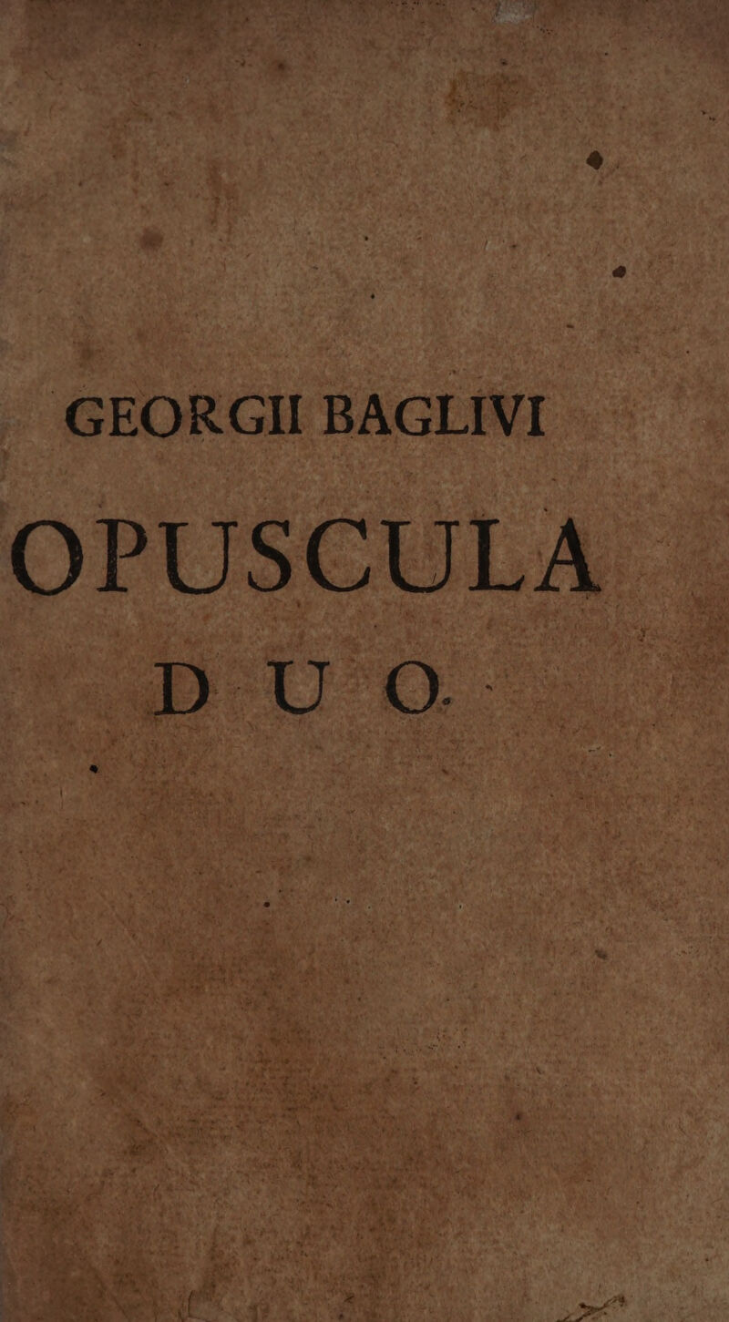 GEORGII BAGLIVI PUSCULA * b . i . 4 e V&amp; * Á u * X T d Y z Y -— b t es. À  b * un . ] *  LI, ha * : * &amp;. M B e zu d