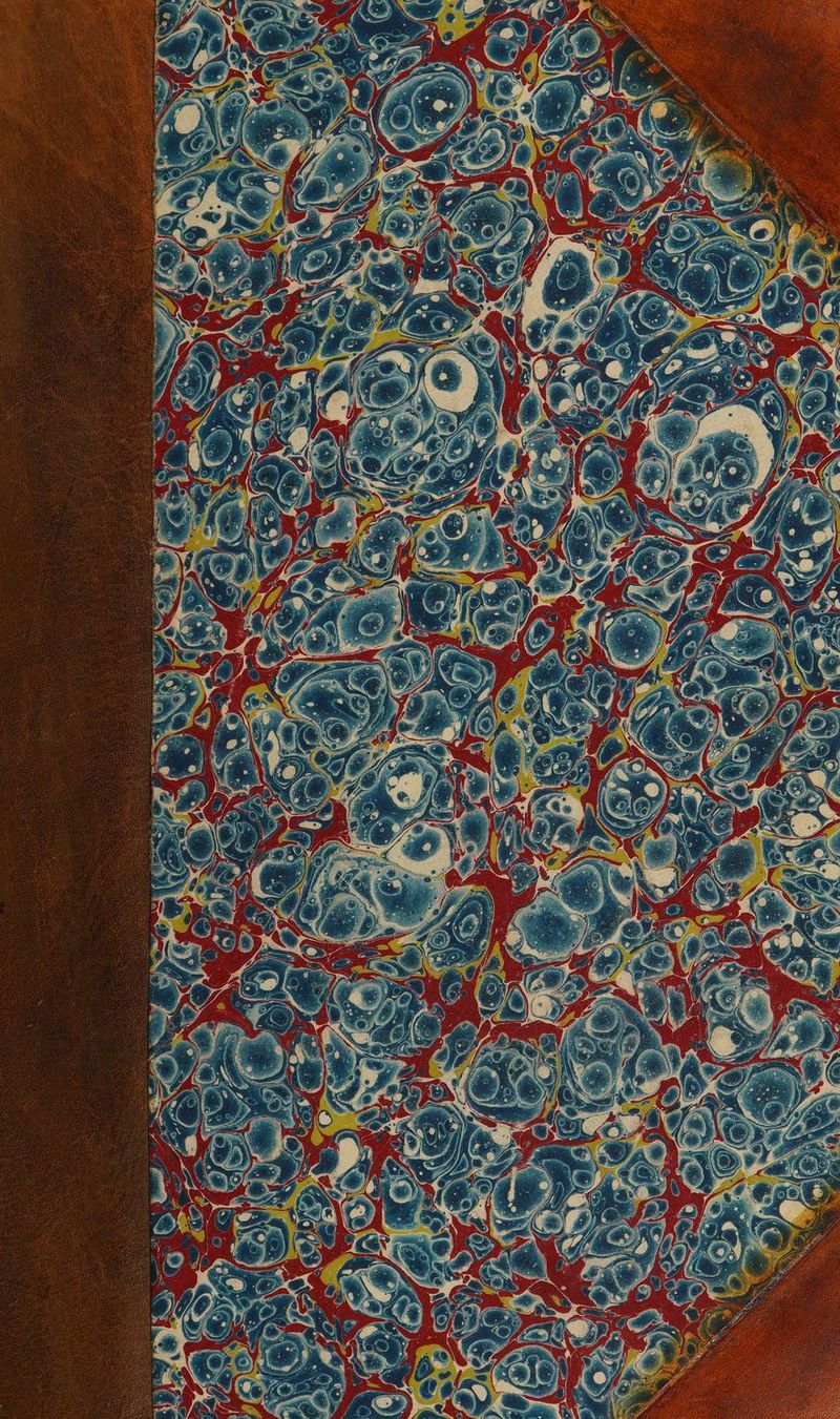 No text description is available for this image