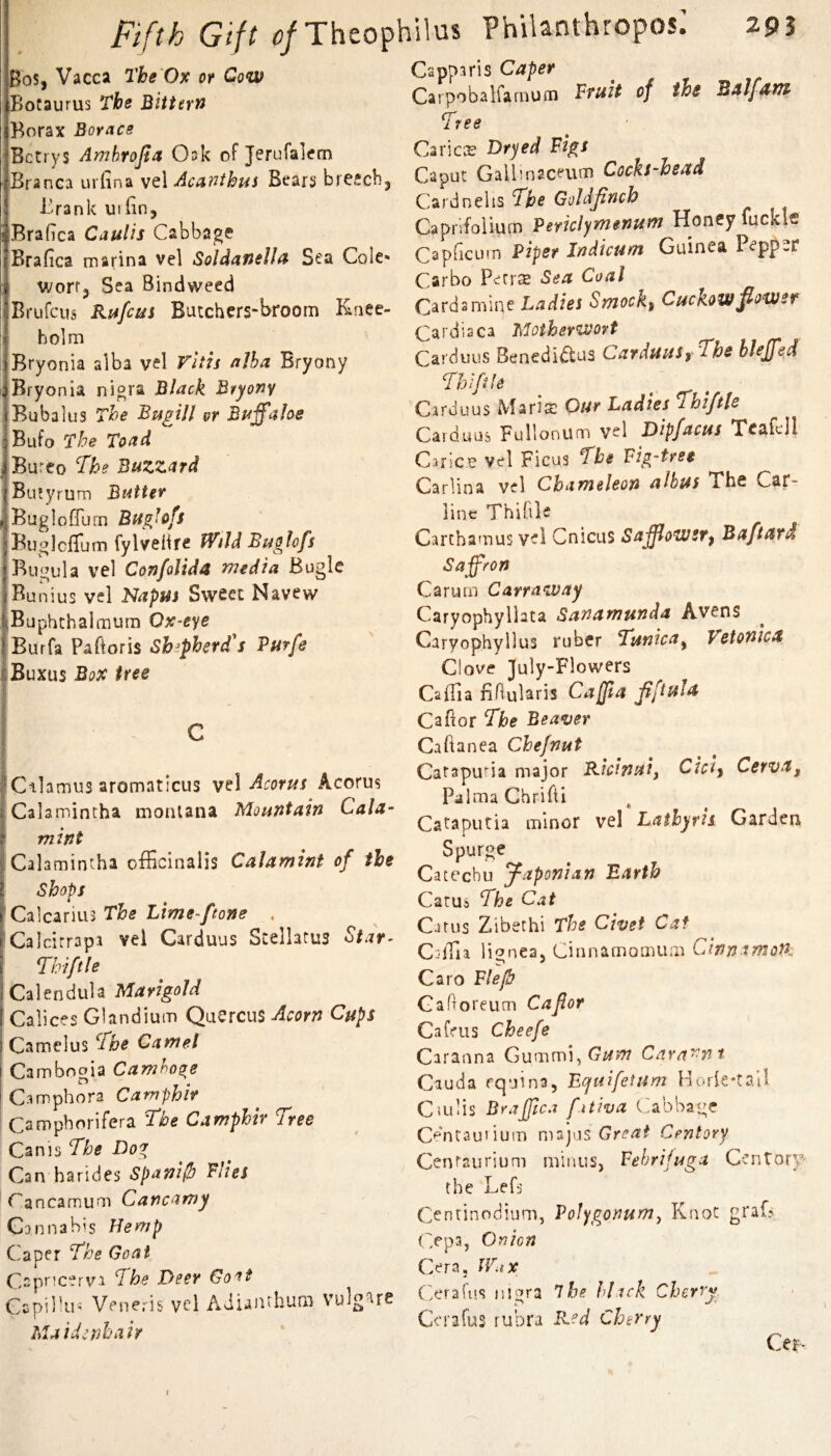 Bos, Vacca The Ox or Cow l^otaurus The Bittern '(Borax Boracff ^Bctrys Ambrojla Osk of Jerufalem |b ranca urfina \q\ Acanthus Bears brescb, j I'rankuifin, iBrafica Caulis Cabbat^e IfBrafica marina vel SoJdanella Sea Cole- 1 tvorr, Sea Bindweed jBrufcus Rufcus Butchers-broom Knee- i ^ ^ holm Bryonia alba vel Vitis alba Bryony i; Bryonia nigra Black Bryony Bubalus The BugiJl &r Buffahe I Bufo The Toad Bureo ^he Buzzard Butyrum Butter > BugloflTurn Bughfs Buglcffum fylveiire fVtJd Bughfs Bugula vel Co7jfolid4 media Bugle Bunius vel Napm Sweet Navew LBuphchalmum Ox-eye Burfa Paftoris Shepherfs Vurfe iBuxus Box tree \ C I I Calamus aromaticus vel Acorus Acorus Cal amintha moniana Mountain Cala- I mint Calimintha ofEcinalis Calamint of the [ Shops ' Ctk]c3iniu T'he Lime-ftone . 'Calcirrapa vel Carduus Scelhrus Star- Thiftle Calendula Marigold Calices Glandium Quercus Acorn Cups Camelus ^-fhe Camel Cambooia Camho^e Camphora Camphir Campborifera The Camphir Tree Canis The Dog Can harides Spani/b Flies rancamum Cancamy Cannabis Hemp Caper The Goat Cspncervi The Deer Goet Cspillu- Veneris vd Adijnthum Vulg^re Maidenhair Capparis Caper Carpobalfarnum Fruit of the Balfam (T- 1 ree Csric;B Dryed Figs Caput Gallinaceum Cocks-hsad Cardnelis The Goldfinch Caprifolium Peticlymenum Honey fuckle Capbeurn Piper Jndicum Guinea Pepp-r Carbo P^;rrse Sea Coal Card2mine Ladies Smock^ Cuckowflower Cardiaca Motherwort Carduus Benedi^tus CarduuSyThe bhjfed ThiftJe ^ . Carduus Maris Our Ladies ihiftle Carduus Fullonum vel Dipfacus Teafell Carico vel Ficus Tbs Fig-tree Carlina vel Chameleon albus The Car¬ line Thible Cartbamus vel Cnicus Safilowsrf Baftard Sa^ron Carum Carr aw ay Caryophyliata Sanamunda Avens Caryophyllus ruber Tunica^ VetonicA Clove July-Flowers Caffia firiularis Cafila fifiula Caftor The Beaver Caftanea Chef nut Catapu^ia major Ridnui, Ciciy Cerva, Palma Ghrifii Cataputia minor vel Lathyris Garden Spurge Catechu Japonian Earth Catus The Cat Carus Ziberhi The Civet Cat Cd'lTia lignea, Cinnamomum Cinnamon^ Caro Flefb CaPToreum Cafior Cafeus Cheefe Caraana Gummi,G//?77 Cnra-nt Cauda fquina, B^uifetiim Fu-rie-tall Ciulis Braffica fitiva Cabbage C^'ntauiium msjus Great Centory Cenfaurium minus, Fehrifuga Centorp the Lefs Cenrinodium, Polygonum^ Knot graf? Op3, Onion Cera, BCx Cerafiis nigra The Mack Cherry Ccrafus rubra Red Cherry Cer- I