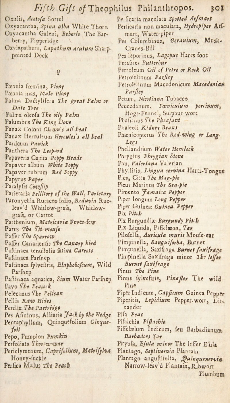Oxalis, Acetofa Sorrel Oxyacantha, Spina alba White Thora Oxyacantha Galeni, Beberis The Bar¬ berry, Pipperidge OxyUpathuin, Lapathum acutum Sharp- pointed Dock P Pxonia feenrina, Viony Pceonia riias, Male Pieny Palma Dadylifera 7he great Palm or Date Tree Pal ma oleofa The oily Palm Palumbns The King Dove Panax Colon! Clown's all heal Pan ax Herculeum Hercules's all heal Panicum Panick Panthera The Leopard Papavens Capita Poppy Heads Papaver album White Poppy Papaver rubrum Red Poppy Papyrus Paper Paralyfis Cowjlip Parietaria Pellitory of the Wall^ Parieiary Paronychia Rutaceo folio, Reduvia Rue- leav’d Whiclow-grafs, Whitlow- graft, or Carrot Par rhenium, Matricaria Fever-few Parus The TiUmoufe Pa/Ter The Sparrow Paffer Canarienfis The Canary bird Paftinaca tenuifoiia fativa Carrots Paftinaca Parfnep Paflinaca fylveitris, Blaphobo/cum^ Wild Parfnep Paftinaca aquatica, Sium Water Parfnep Pavo The Peacock Pelecanus The Pelican Pell is Raw Hides Perdix The Partridge Pcs Afininus, Alliaria ^ack by the Hedge Pcnraphyllum, Quinquefolium Cinque- foil Pepo, Pumpion Pumkin Perfoiiata Thotow'War Peri cly men um, Capri folium^ Matfi/yha Honey-fuckle Pcrfica Malus Ths Peach Peificaria maculata Spotted Arfmart Pcrlicaria non maculata, Hydropiper Arf- mart, Water-pi per Pes Columbinus, Geranium, Musk- Cranes-Biil Pcs Icporinus, Lagopus Hares foot Pcrabces Butterbur Petroleum Oil of Petre or Rock Oil Pctrofelinum Parjley Petrolelinum Macedonicum Maadoniai^ Parjley Pet uni, Nicotiana Tobacco Peucedanum, Poeniculum porcinum^ Hogs-Fennel, Sulphur wort Phafianus The Pheafant P..a<eoli Kidney Beans Phsnicopceius Tbs Red-wing or Long- Legs Phellandrium Water Hemlock Phiygius Phrygian Stone Phu, Valeriana Valerian Phyliitis, Lingua cervina Harts-Tongue Pic3, Citta The Mag-pie Picus Marinus The Sea-pie Pimento Jamaica Pepper Piper longum Long Pepper piper Guineas Guinea Pepper Pix Pitch Pix Burgundire Burgundy Pitch Pix Liquida, Piffelaeon, Tar Pilofella, Auricula muris Moufe-car Pimpinella, Sanguiforba, Burnet Pimpinella, Saxifraga Burnet faxifragt Pimpinella Saxifraga minor The lejfer Burnet faxifrage Pinus The Pine Pinus fylveflris, Pinajler The wild! Pine Piper Indicum, Capjicum Guinea Peppcf Pipericisj Lepidium Pepper-wort, Liu tander Pifa Peas Piftachia Pijlachio PifTelaelum Indicum, feu Barbadianu®, Barba does Tat Piryufa, Bfula minor The k/Ter EfuU Plant ago, Septinervla Plan rain Plantago anguftifolia, ^uinquenervm Nari'oW'leav’d Plantain, Ribwort Plumbum