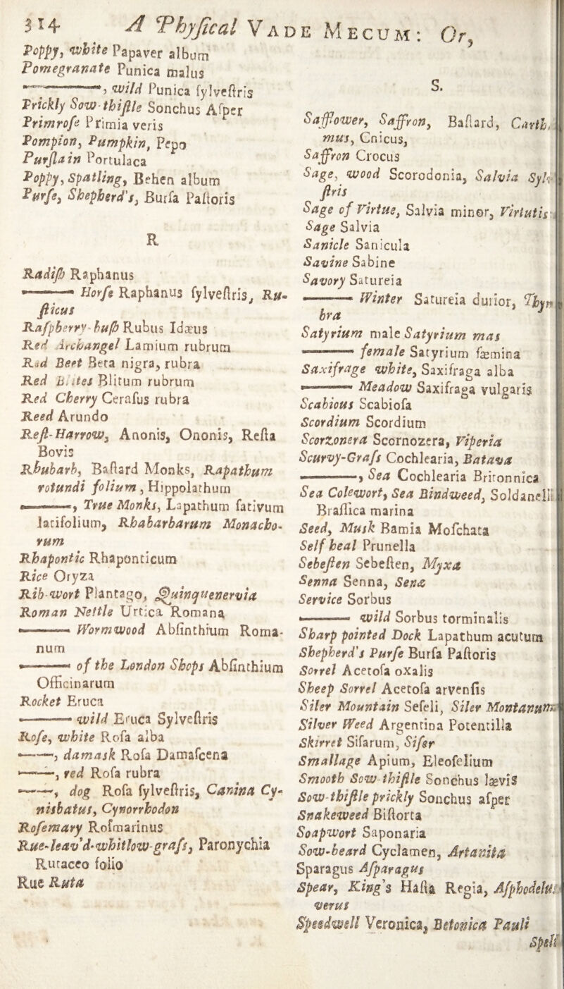 314- ^ Vade Mecum; Or Poppy, >wlite Papaver album Pomegranate Punica malus S. --? Punica fylveftris Trickly Sow thijiie Sonchus ATper Primrofe Primia veris Pompion^ Pumpkin, P^po Pufjlain Portulaca PoppyySpatlingj Behen album Pmfe^ Shepherd's, Burfa Paftoris R Radifi Raphanus —— Horfe Raphanus fylvertris^ Ru-> fticus Ra/pberry-hu/h Kuhns Idams Red Archangel Lamium rubrum R<^d Beet Beta nigra, rubra Red Blirum rubrum Red Cherry Cerafus rubra Reed Arundo Refi-Harvow, AnoniSj Ononi?, Refia Bovis Rhubarb, Badard Monks, Rapathum fotundi folium, Hippolarhurii True Monks, Lapathurn fativum iatifolium, Rhabarbarum Monacbo- rum Rhapontic Rhaponticum Rice Oryza Rib ^wort Pjantago, t^uinquenervia Roman Nettle Urtica Romana --- fVoymwood Abfinthium Roma* * num —— of the London Shops Abfinthium Officinarum Rocket Eruca ■ ■ ■-■■■ ^vild Eaica Sylvefiris Ro/e, ‘white Rofa alba •—damask Rofa Damafcena , fed Rofa rubra dog Rofa fylvefiris, Canina Cy* nisbatuf, Cynorrhodon Rofemavy Rofmarinus Rue->leav'd*whitkw-grafsj Paroiiychia Ruracco folio Rue Ruta Saflower, Saffron, Bafiard, Carthr mus, Cnicus, Saffron Crocus Sage, wood Scorodonia, Salvia SyU firis Sage of Virtue, Salvia minor, VirUHis Sage Salvia Sanicle Sanicula Savine Sabine Savory Satureia - winter Satureia duiiori bra ^ Satyrium n\z\t Satyrium mas —— female Satyrium femina Saxifrage white, Saxifraga alba ' ■■ ' Meadow Saxifraga vulgaris Scabious Scabiofa Scordium Scordium Scorzonera Scornozera, viperia Scurvy-Grafs Cochlearia, Batava Sea Cochlearia Brironnica Sea Colewort, Sea Bindweed, SoIdanelK Brafilca marina Seed, Musk Bamia Mofchata Self heal Prunella Sebefien Scbeften, Myxa Senna Senna, Sen^ Service Sorbus * -- wild Sorbus torminalls Sharp pointed Dock Lapathum acutura Shepherd's Purfe Burfa Paftoris SotreJ Acetofa oxalis Sheep Sorrel Acetofa arvenfis Siler Mountain Sefeli, Siler Moatanut?^^ Silver fVeed Argentina Potentilla Shrret Sifarum, Sifer Smallage Aplum, Eleofelium Smooth SowAhifile Sonchus l^vis SowAhifile pfjckly Sonchus afper Snakeweed Biftorta Soapwort Saponaria Sow*beard Cyclamen, ArtanUa Sparagus Afparagus Spear, King's Hafia Regia, Afphodeh^ verus Spiidwdi Betonicu PauU