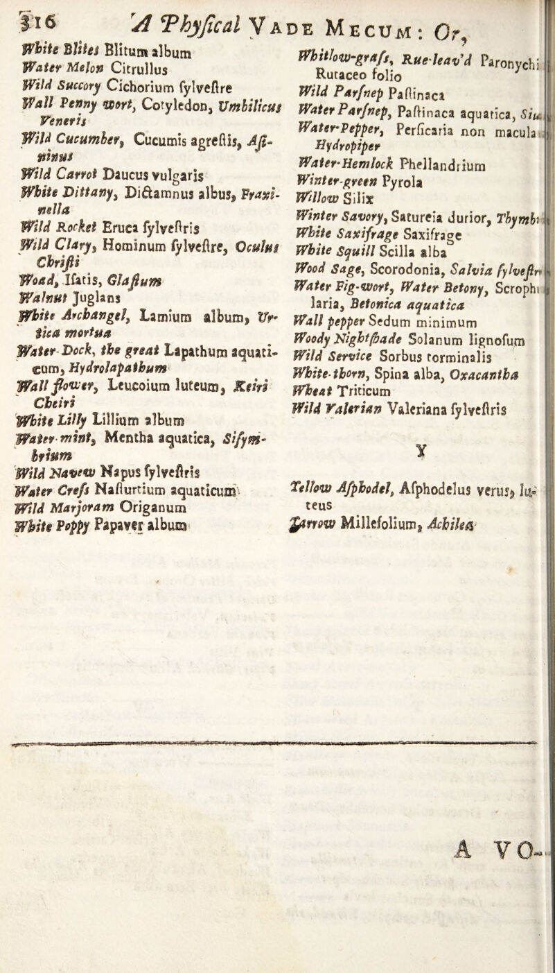 fl^loits Blitutn album Water Melon Citrullus Wilti Succory Cichorium fylveflre Wall Penny mrt, Cotyledon, Umbilicus Veneris Wild Cucumber^ Cucumis agrefiis, AJi^ ninus Wild Carrot Daucus vulgaris White Dittanf^ Diftamnus albus, Fraxi- nella Wild Rocket Eruea fylvc^lris Wild Clary^ Hominum fylvcflre, Oculus Cbrifii Woad^ lhns, GJafium Walnut Juglans White Archangel, Lamium album, Ur- Sica mortua Water-I>ock, the great Lapathum aquati- cum, Hydrolapathum Wall fio^iver, Leucoium lutcum, Kein Cheifi White Lilly Lillium album Water mint^ Mentha aquatica, Sifym- hfium Wild Naifew Napus fylveflrfs Water Crefs Nafiurtium aquaticuffi Wild Marjoram Origanum White Poppy Papaver album ‘ DE Mecum: Or, Whitlow-gYafs, Rue Uav'd Paronvehi Rucaceo folio ^ Wild Parfnep Pafiinaca Water Par/nepy Paftinaca aquatica, Siu: Water*Pepper, Pcrficaria non maculaii Uydropiper Waier-Hemlock Phellandrium ' Winter-green Pyrola ' Willow SiVix \ Winter Savory, SAturclz durior, Thy mb j White Saxifrage Saxifrage [ White squill Scilh I Wood Sage, Scorodonia, Salvia fylvefirr i Water Pig-wort, Water Betony, Scrophi | laria, Betonica aquatica Wall pepper Sedum minimum ' I Woody Night/bade Solanum lignofum Wild Service Sorbus corminalis White-thorny Spina alba, Oxacaniha Wheat Triticum Wild Valerian Valeriana fylveflris ■ i Y Telkw Afphodel, Afphodclus vcrm^ Ju® ; ceus ytrrow Millefolium, Achile^ eSvsummi A VO