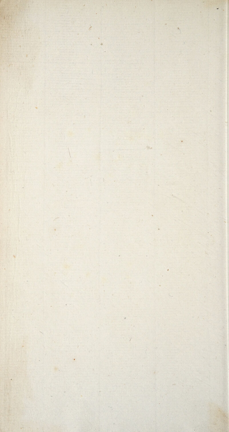 ' 1 ■ ■A ■ ' • i V X . N / - . -