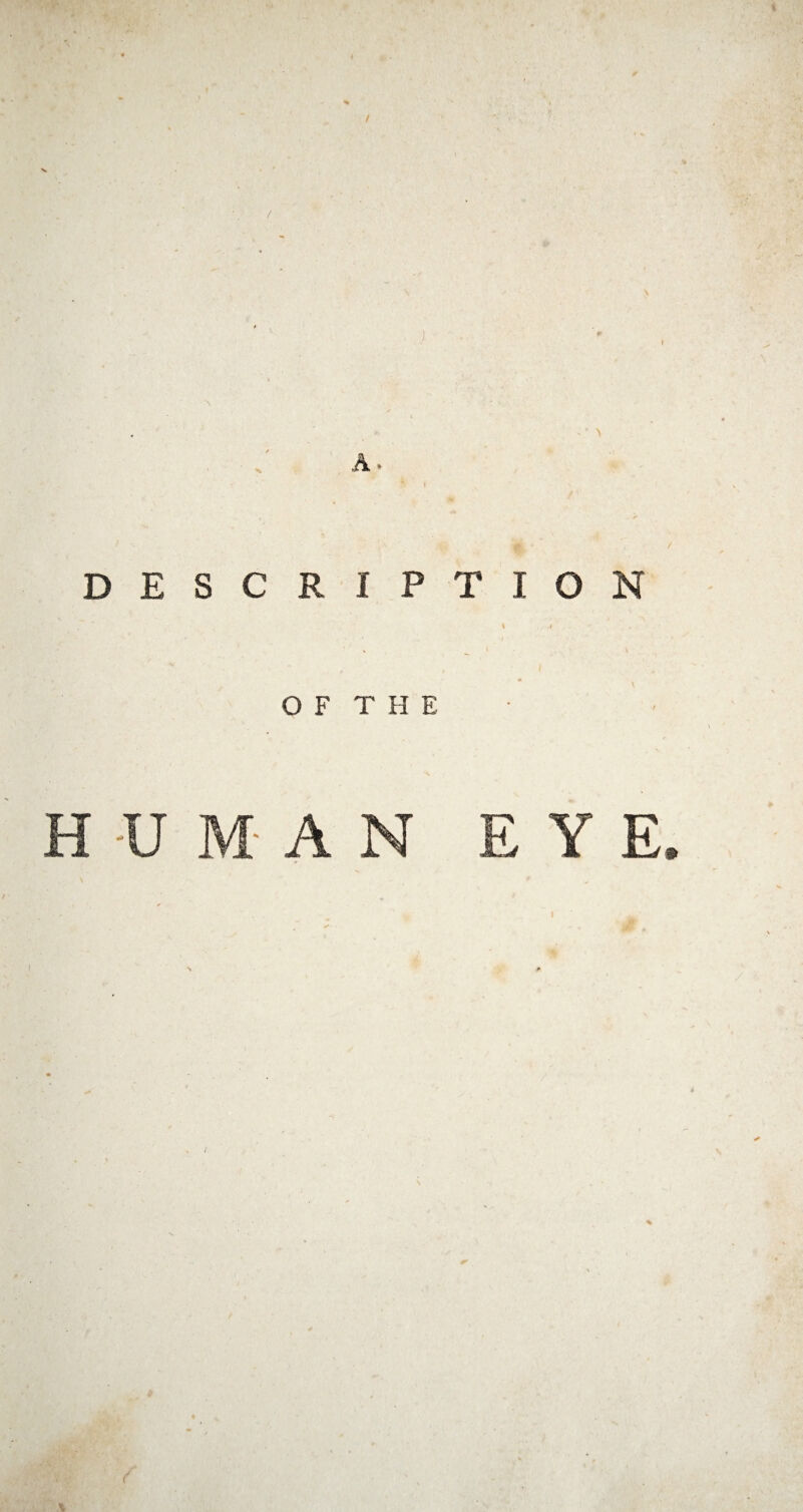 / % A • / DESCRIPTION OF THE