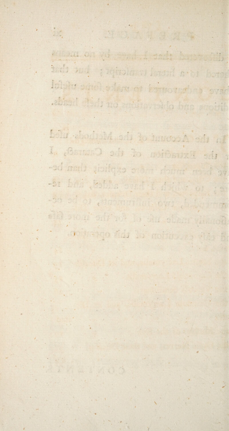 \ / X •• * * ■\ * \ \ \ / \ - I f • V / . .