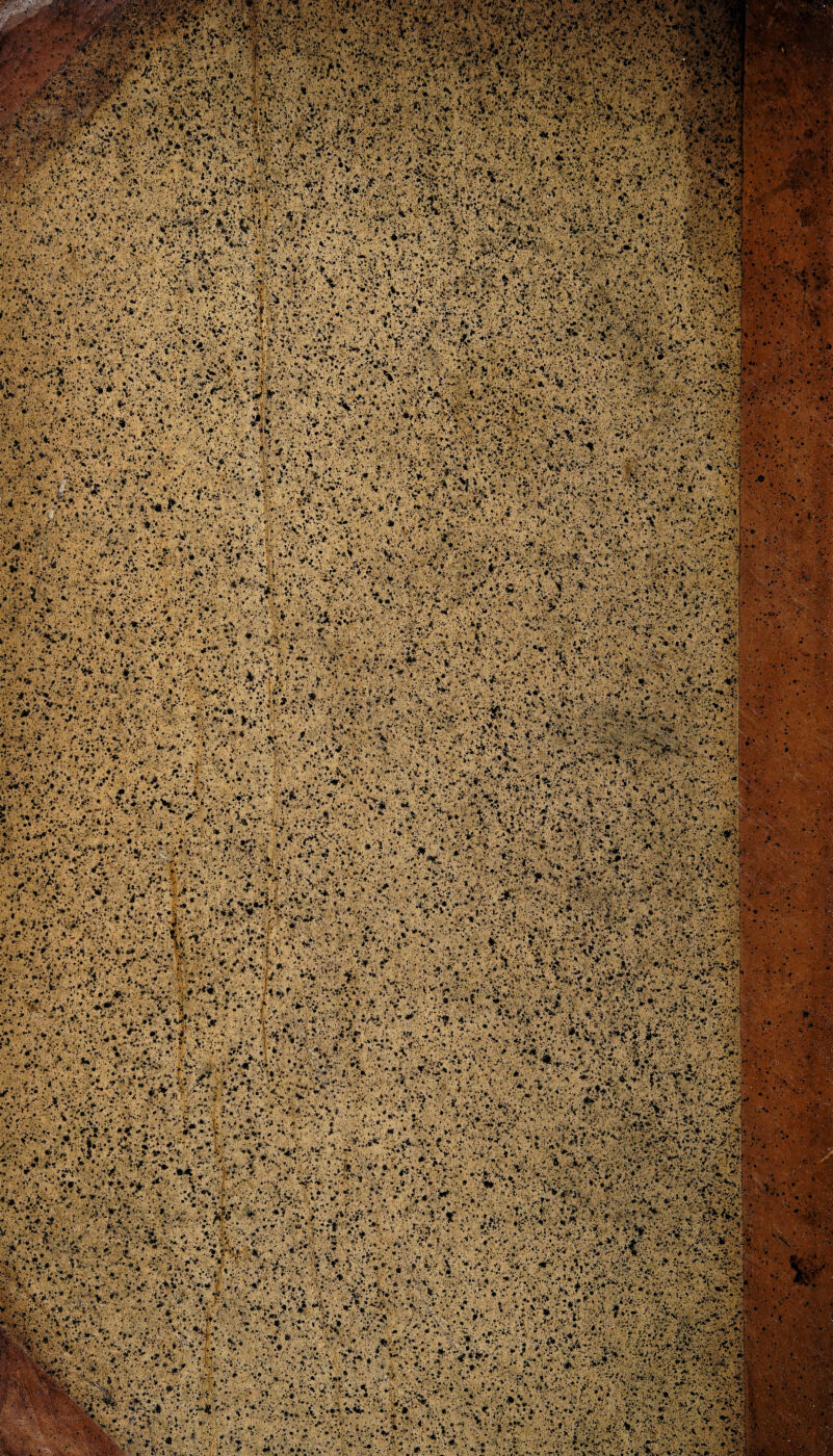 v-; f<*mw w>- /. ffipfeV.-; 2^1 4#?|, i. &•••'.•: ,«»i ■ Sl-'i':- V,v •„*.••. 3V** ^#®4k !* \VW! v*‘.' 1 fe •;■ ,;v-