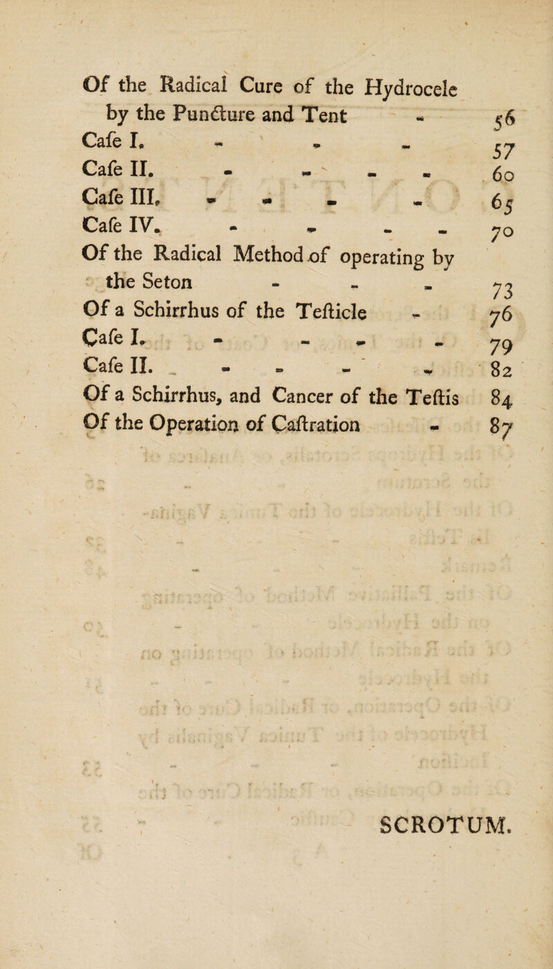 Of the Radical Cure of the Hydrocele by the Pundture and Tent Cafe 1; — . _ Cafe II. - - Cafe III, - - . .O Cafe IV, Of the Radical Method of operating bv the Seton - Of a Schirrhus of the Tefticle Cafe I. Cafe II* ■ , ** « Of a Schirrhus, and Cancer of the Teftis Of the Operation of Caftration - <6 57 6o 65 7 o 73 76 79 82 84 87 SCROTUM.