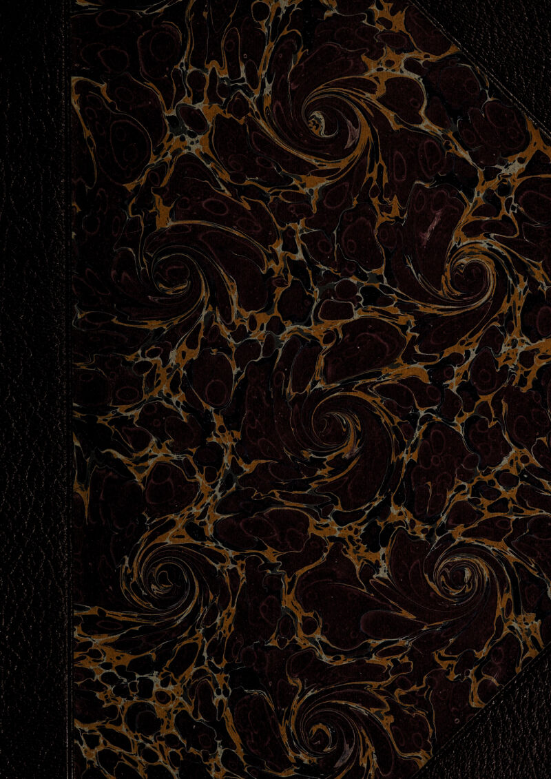 W7*M T| -Mr. '«% l ~Ti *’'lW':