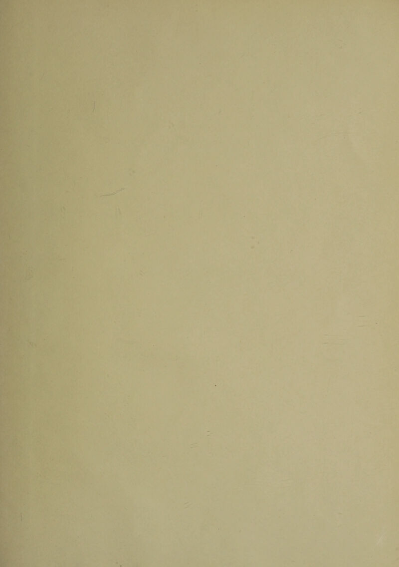 . ' . .? t >■. : \ - : . ‘ i *