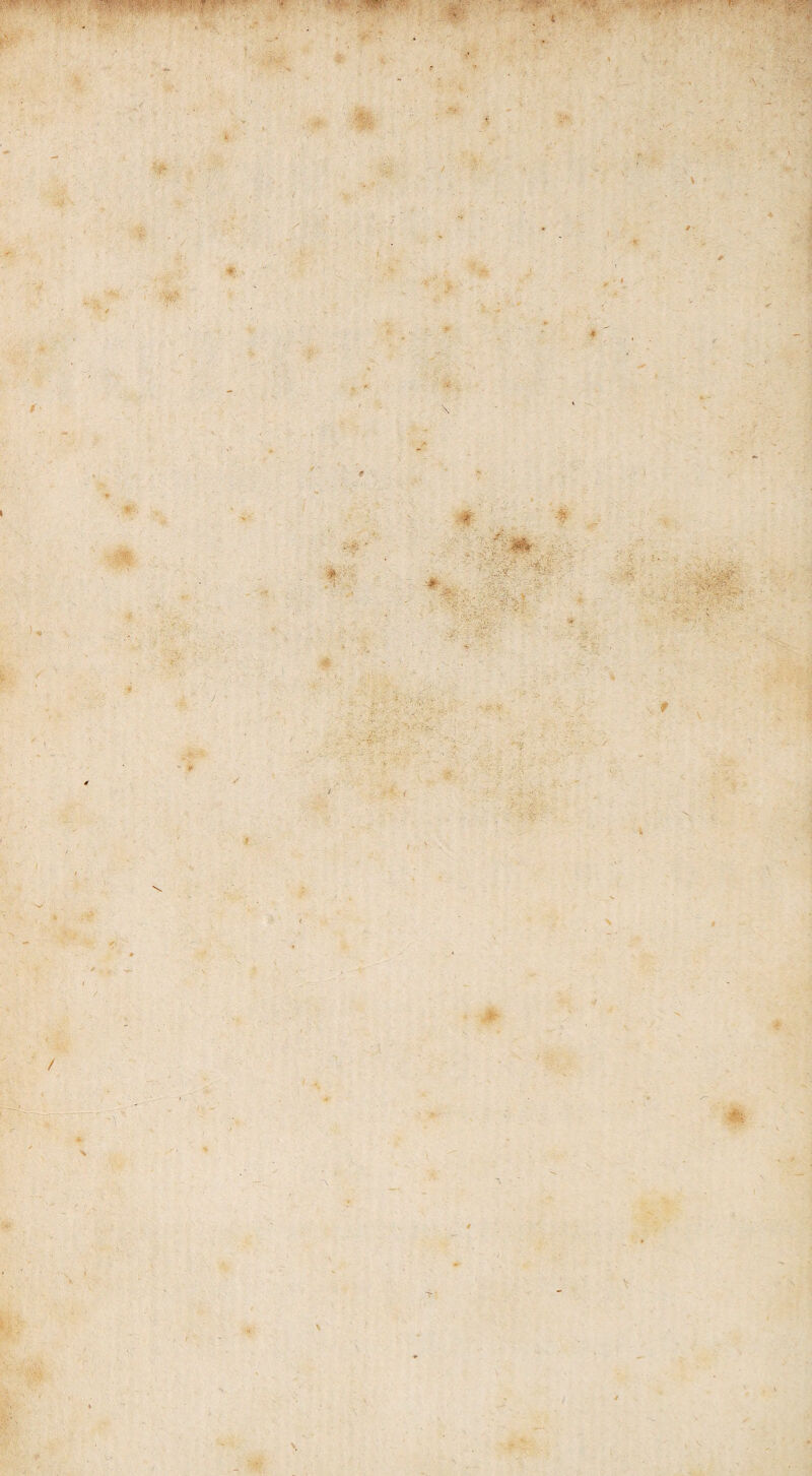 ‘T K' V. - / ' . * i , • - KWT- : gp ■ X' ' - '4; ^ T,._ - 1 ■ * - - . \ , 1 'r m . ■ S A' V » >' ' ■ - , 3V'v; >'• •« * * * - ■ - ■* ; '• ■■ ; ■ V : ' - f!. V ■ /V : *