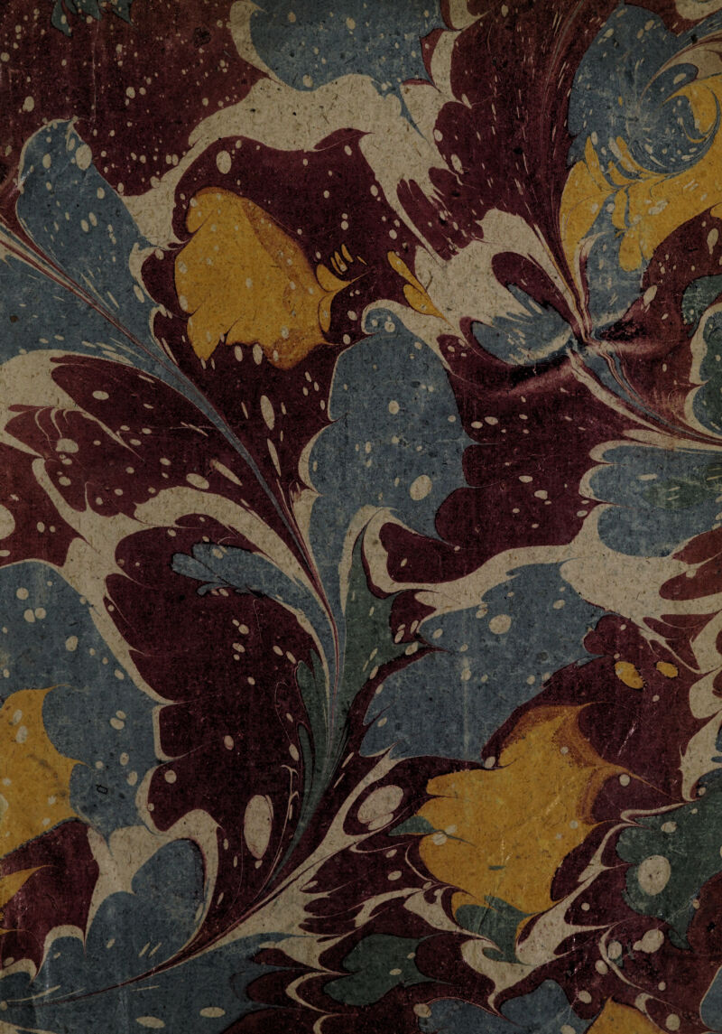 No text description is available for this image