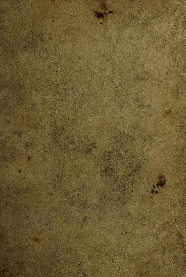 digitised image 1