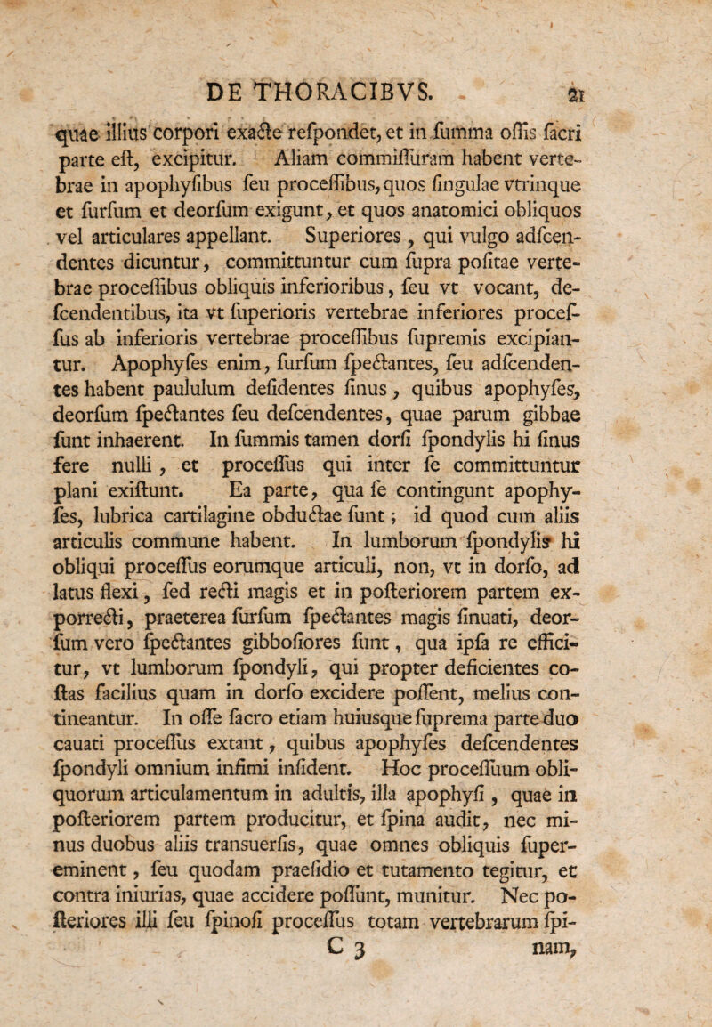 quae illius corpori exade refpondet, et infumma offis facri parte eft, excipitur. Aliam commifluram habent verte¬ brae in apophyfibus feu proceffibus,quos fingulae vtrinque et furfum et deorfum exigunt, et quos anatomici obliquos vel articulares appellant. Superiores , qui vulgo adfcen- dentes dicuntur, committuntur cum fupra pofitae verte¬ brae proceflibus obliquis inferioribus, feu vt vocant, de- fcendentibus, ita vt fuperioris vertebrae inferiores procef> fus ab inferioris vertebrae proceflibus fupremis excipian¬ tur. Apophyfes enim, furfum fpedantes, feu adfcenden- tes habent paululum defidentes linus, quibus apophyfes, deorfum fpedantes feu defcendentes, quae parum gibbae funt inhaerent In fummis tamen dorfi fpondylis hi linus fere nulli , et proceflus qui inter fe committuntur plani exiftunt. Ea parte, qua fe contingunt apophy¬ fes, lubrica cartilagine obdudae funt; id quod cum aliis articulis commune habent. Iri lumborum lpondylis hi obliqui proceflus eorumque articuli, non, vt in dorfo, ad latus flexi, fed redi magis et in pofleriorem partem ex- porredi, praeterea furfum fpedantes magis finuati, deor¬ fum vero fpedantes gibbofiores funt, qua ipfa re effici¬ tur, vt lumborum fpondyli, qui propter deficientes co¬ das facilius quam in dorfo excidere pollent, melius con¬ tineantur. In ofle facro etiam huiusquefuprema parte duo cauati proceflus extant, quibus apophyfes defcendentes fpondyli omnium infimi infident. Hoc procefluum obli¬ quorum articulamentum in adultis, illa apophyli, quae in pofleriorem partem producitur, et fpina audit, nec mi¬ nus duobus aliis transuerlls, quae omnes obliquis fuper- eminent, feu quodam praefidio et tutamento tegitur, et contra iniurias, quae accidere poliunt, munitur. Nec po- lleriores illi feu fpinoli proceflus totam vertebrarum fpi- ' C 3 nam.